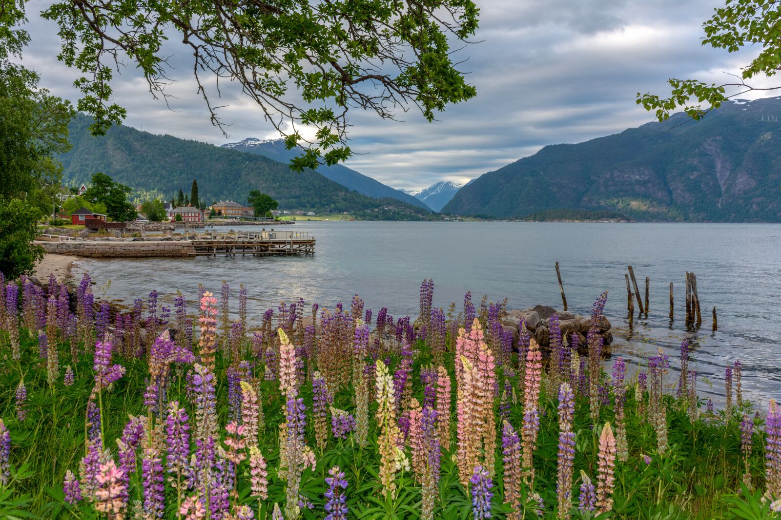 Nikon D7200 sample photo. Landscape, fjord, nature photography