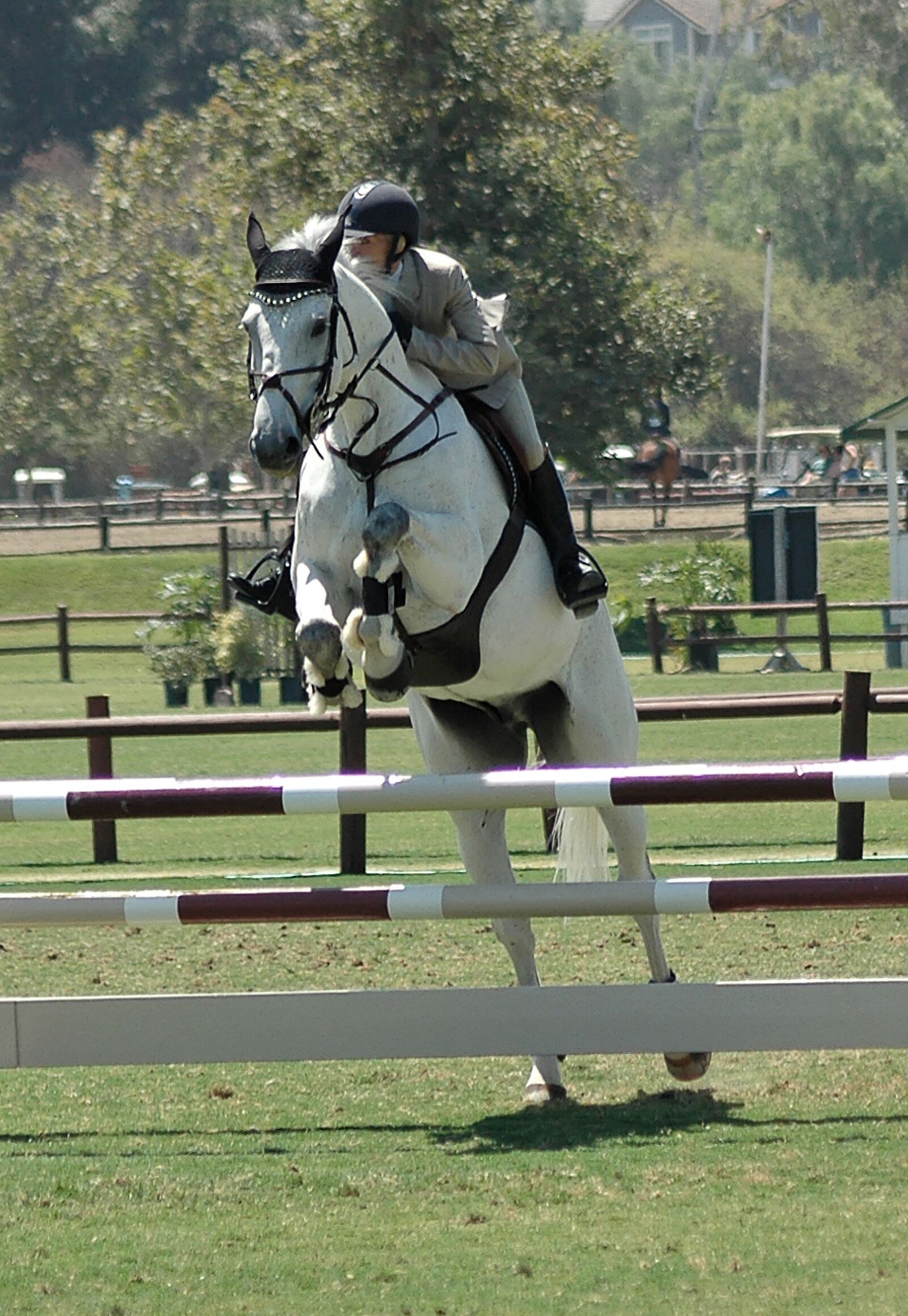 Nikon D70s sample photo. Horse, horses, horseback photography