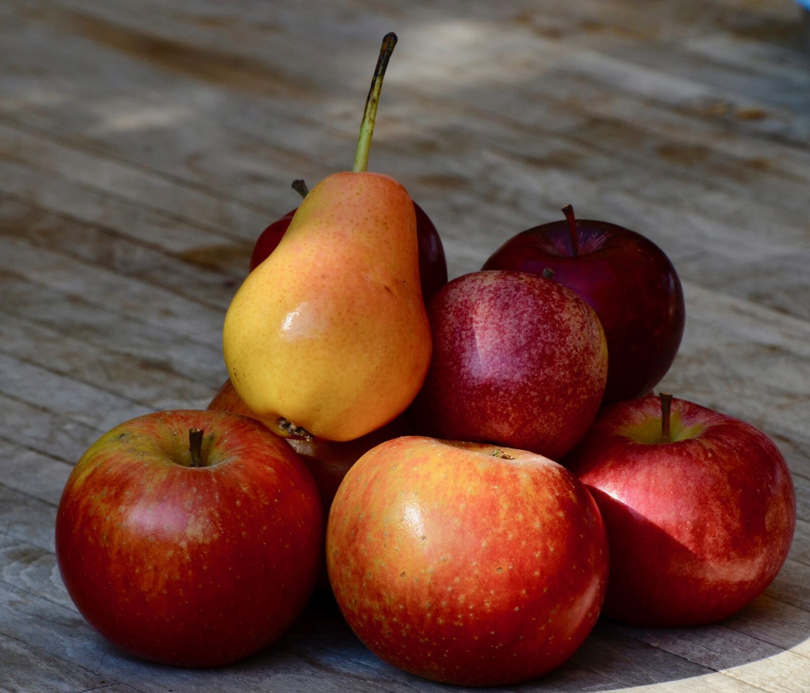 Nikon D5100 sample photo. Pear, apple, fruit photography