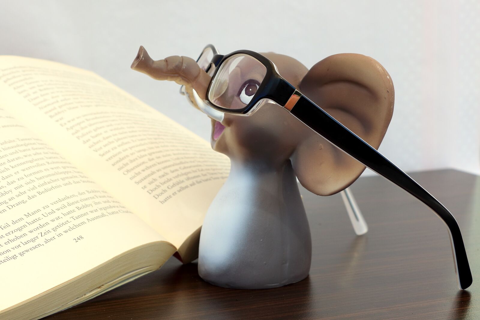 Canon EOS 700D (EOS Rebel T5i / EOS Kiss X7i) sample photo. Elephant, glasses, reading glasses photography