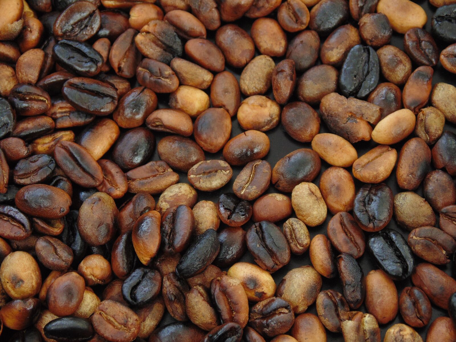 Sony Cyber-shot DSC-H200 sample photo. Coffee, beans, coffee beans photography
