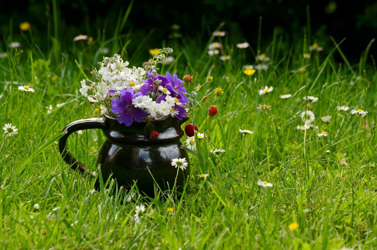 Nikon D5100 sample photo. Flower meadow, bouquet, wildflowers photography