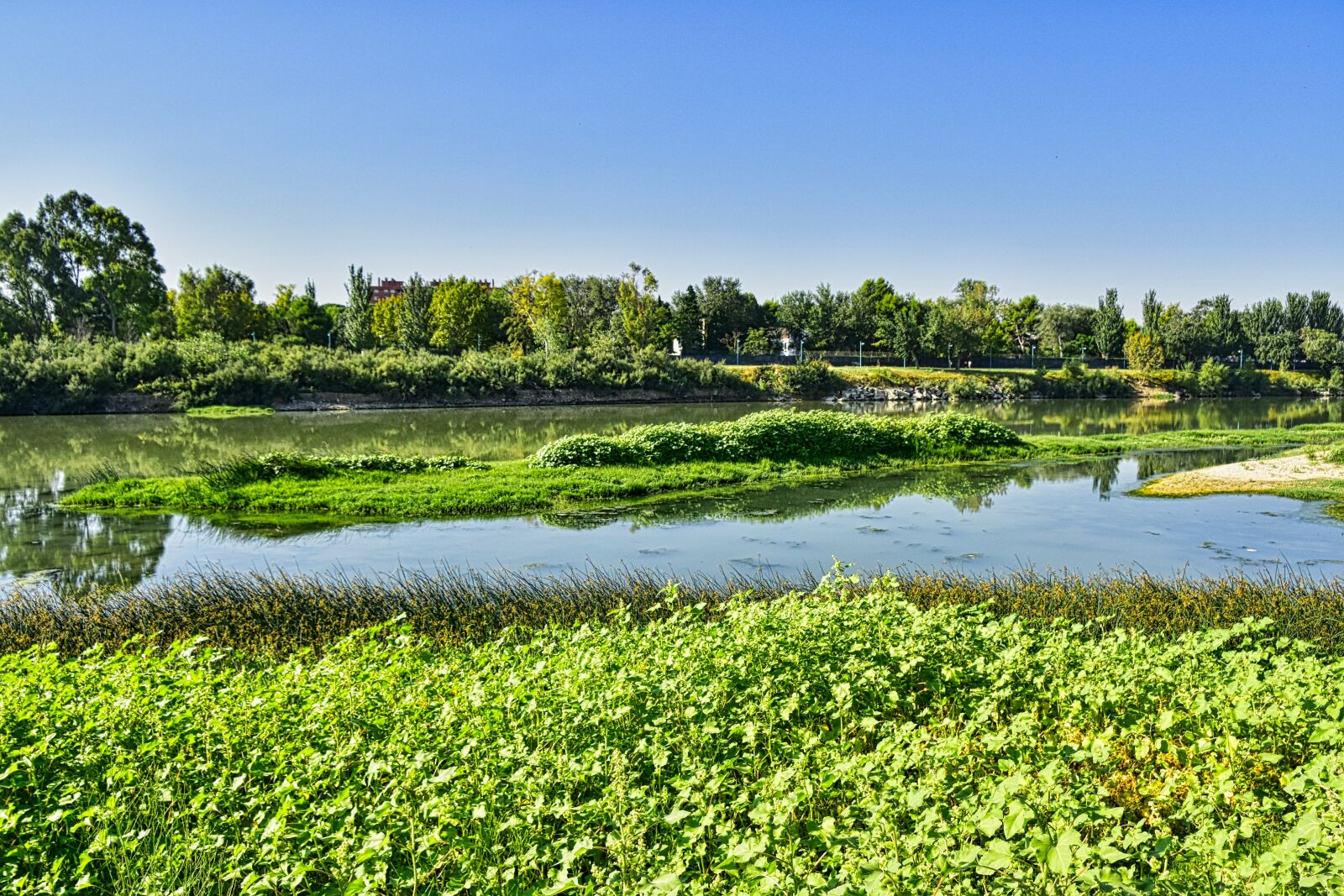 Nikon D7200 sample photo. River, nature, water photography