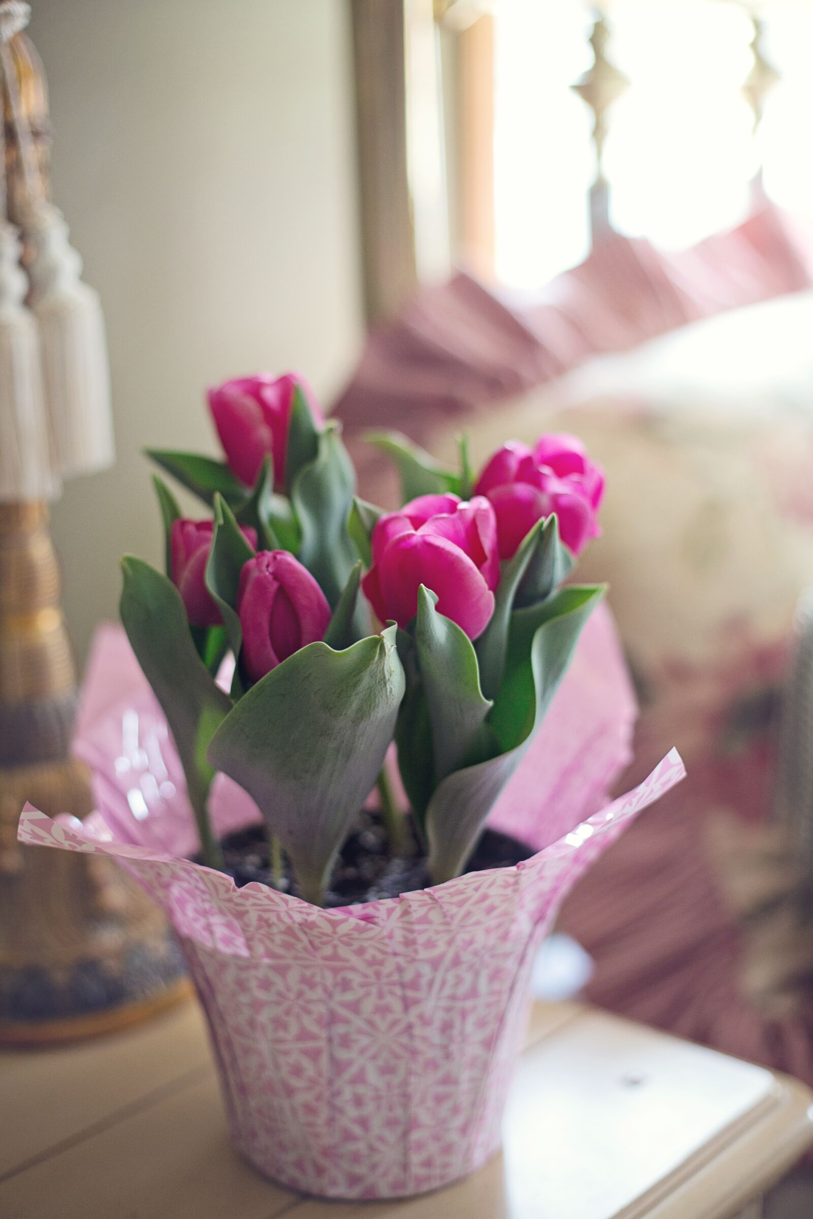 Canon EF 50mm F1.4 USM sample photo. Tulips, spring, bedroom photography