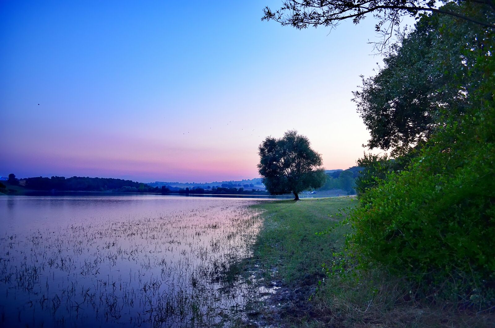 Nikon D5100 sample photo. Nature, water, outdoor photography