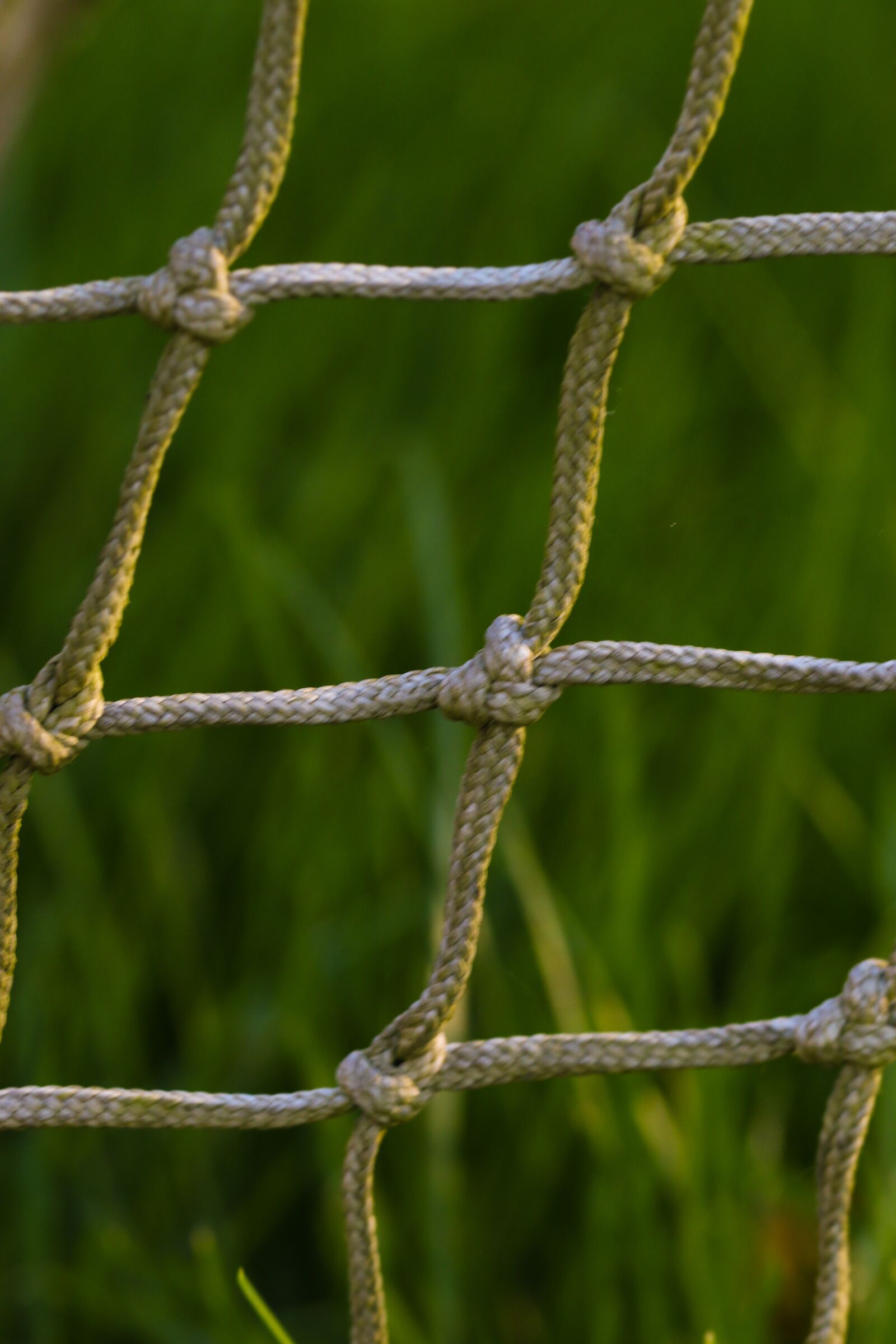 Canon EOS 7D Mark II sample photo. Net, soccer goal, grass photography