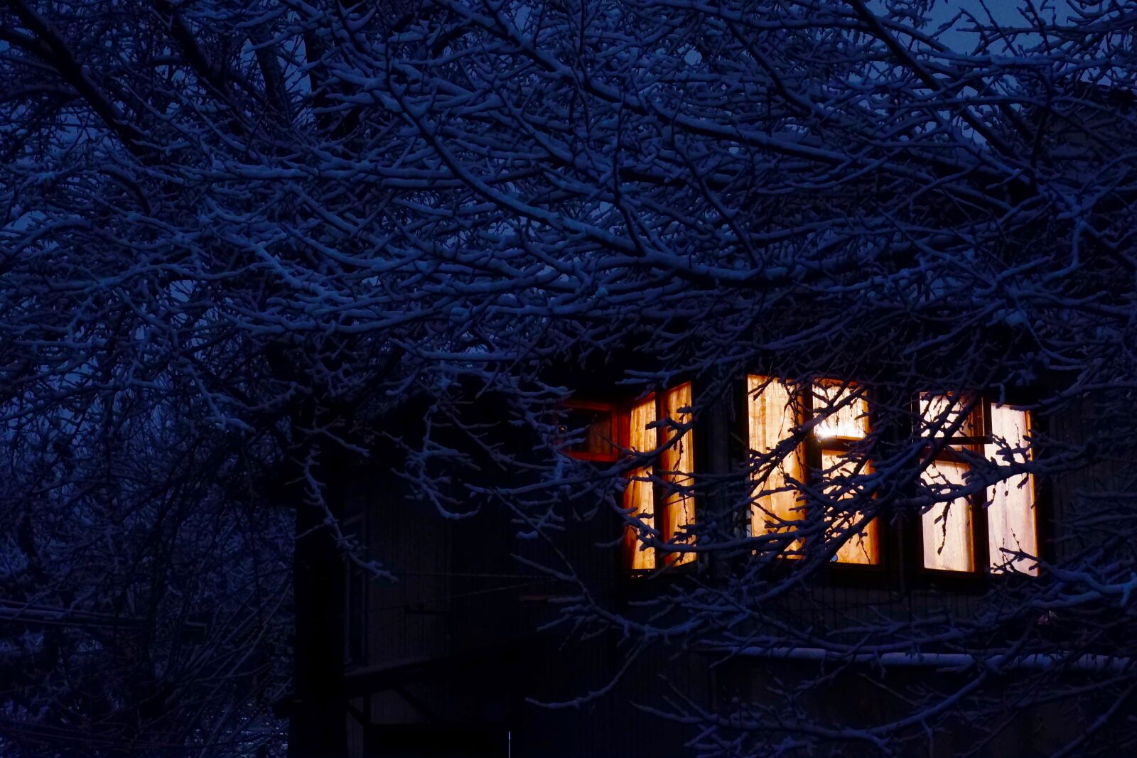 Fujifilm X-A5 sample photo. Winter, snow, nature photography