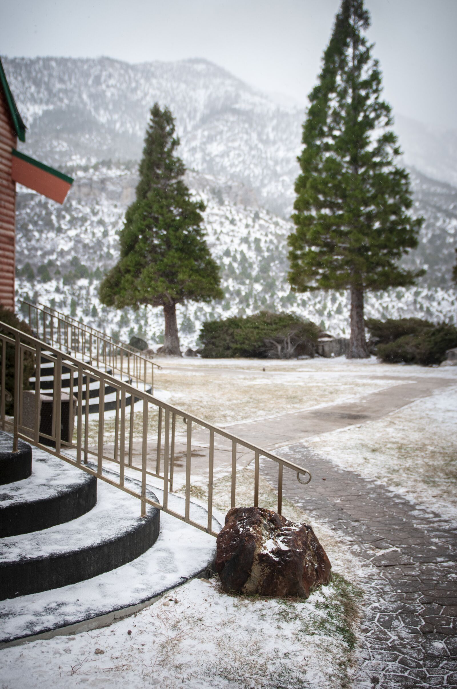 Nikon D300S sample photo. Winter, christmas, vegas photography