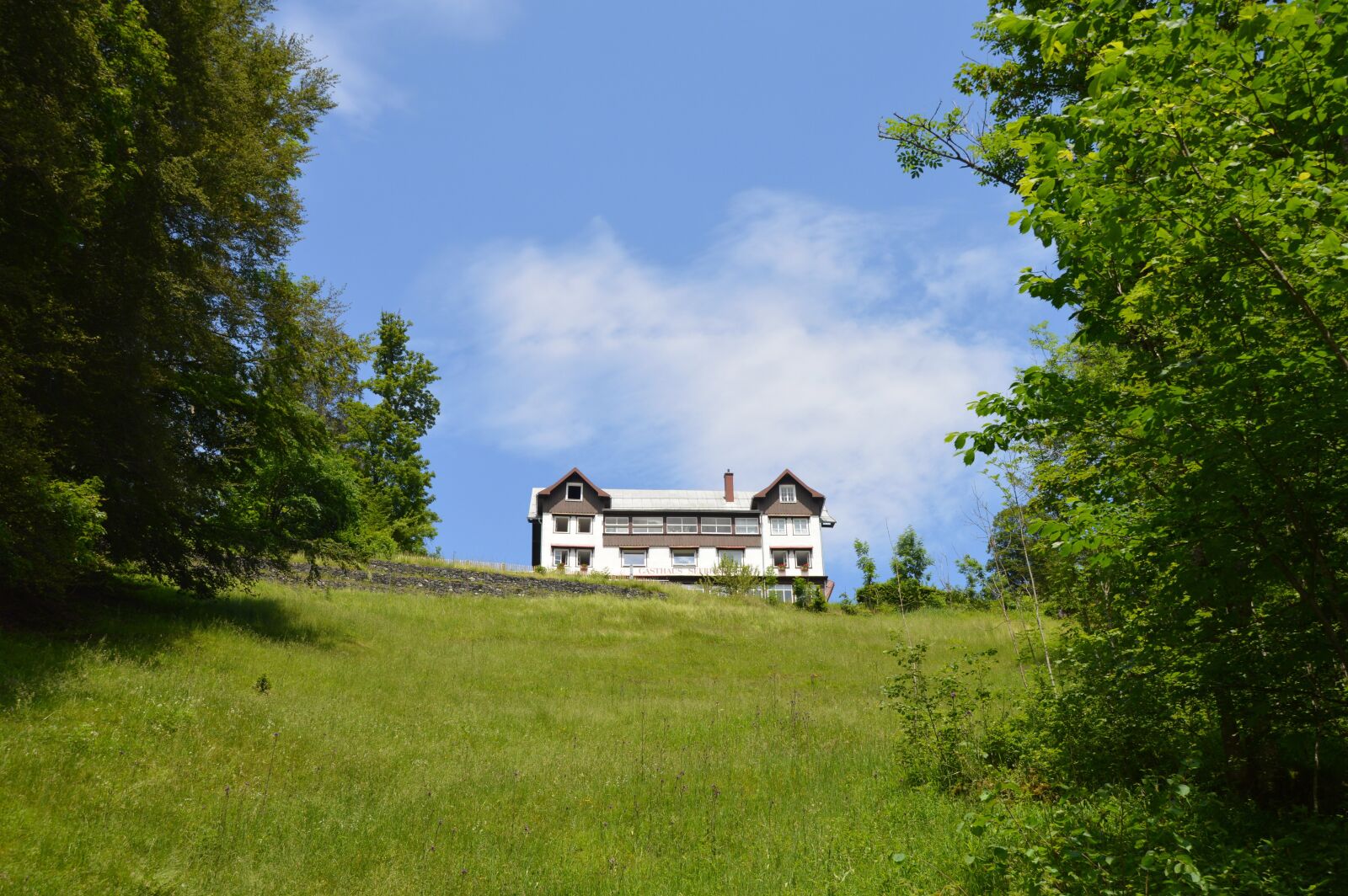 Nikon D3200 sample photo. House in the green photography
