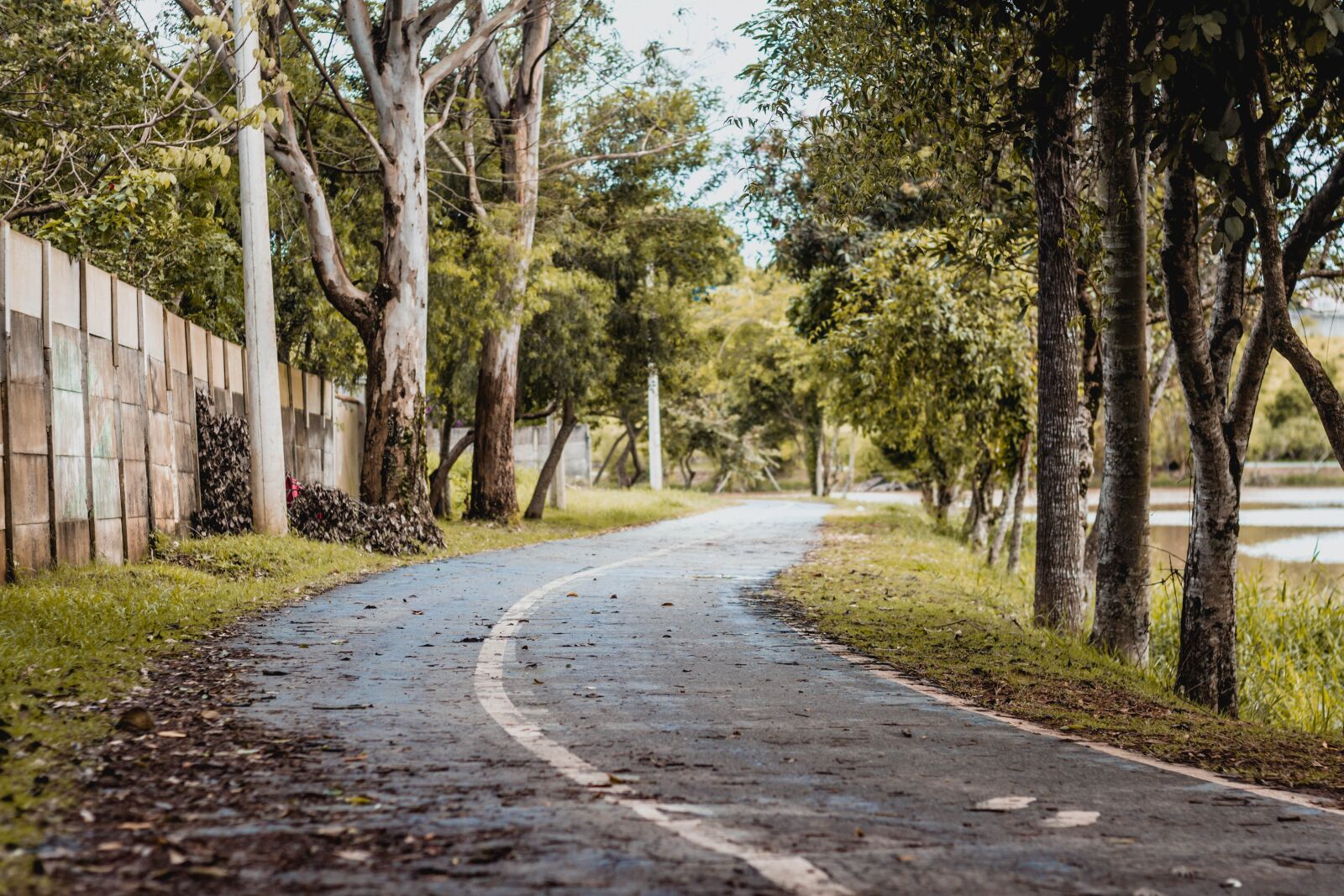 Canon EOS 600D (Rebel EOS T3i / EOS Kiss X5) + Canon EF 50mm F1.8 II sample photo. Nature, urbanism, landscape photography