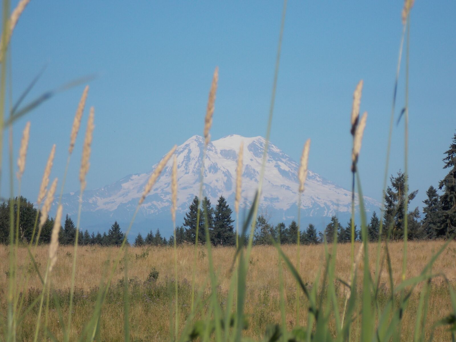 Nikon Coolpix L810 sample photo. Mountain, field, landscape photography
