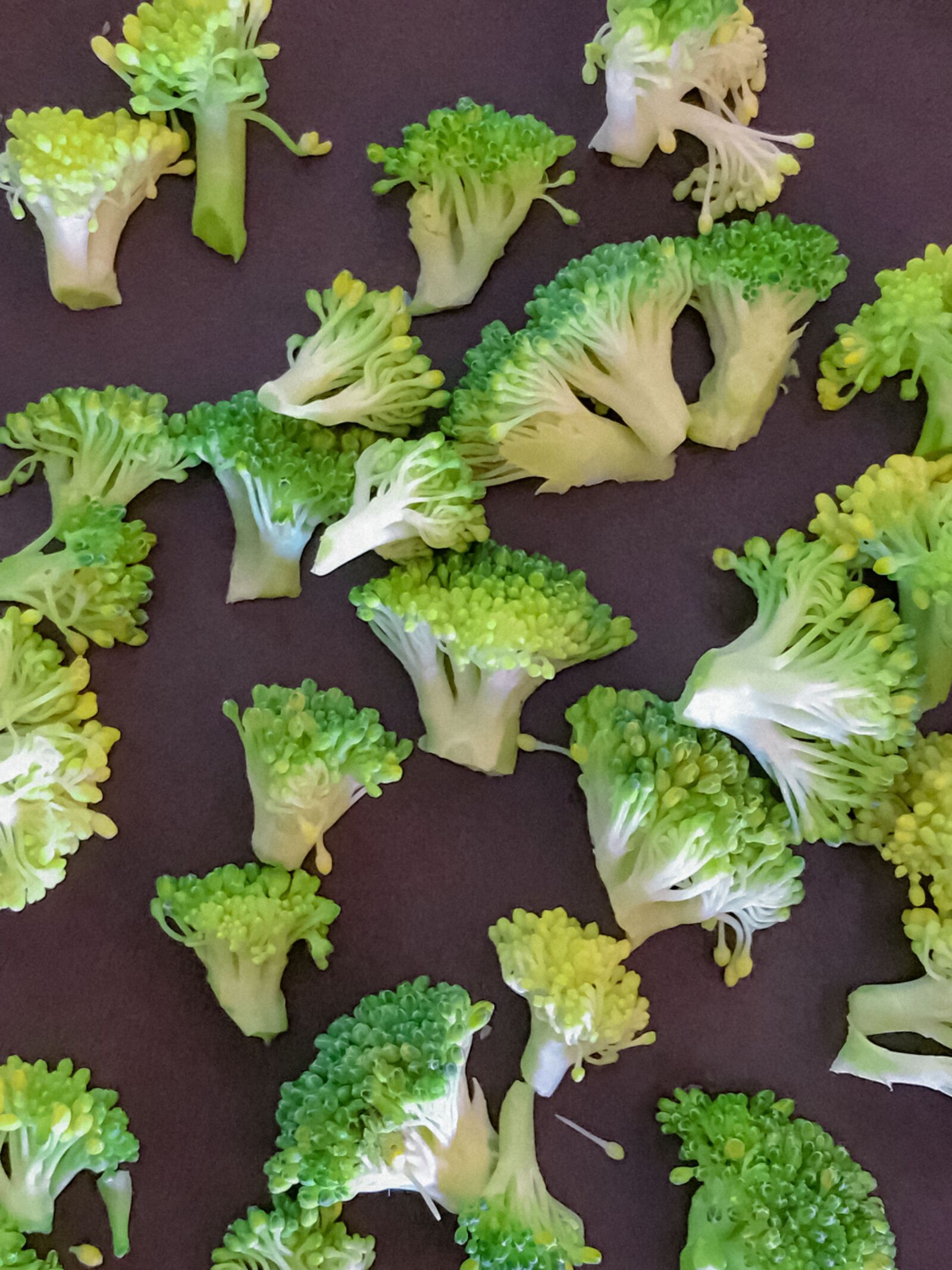 Apple iPhone 7 Plus sample photo. Broccoli, vegetables, fresh photography