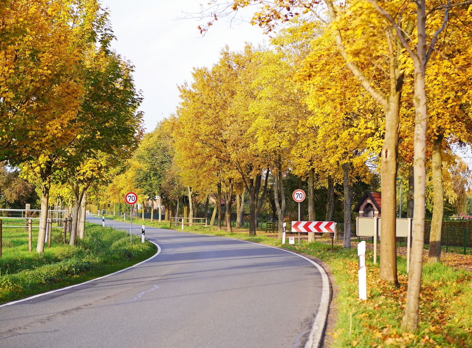Panasonic Lumix DMC-GH3 sample photo. Autumn country road, avenue photography