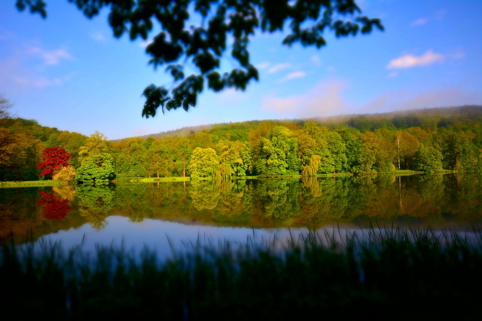 Nikon D5200 sample photo. Landscape, lake, park photography
