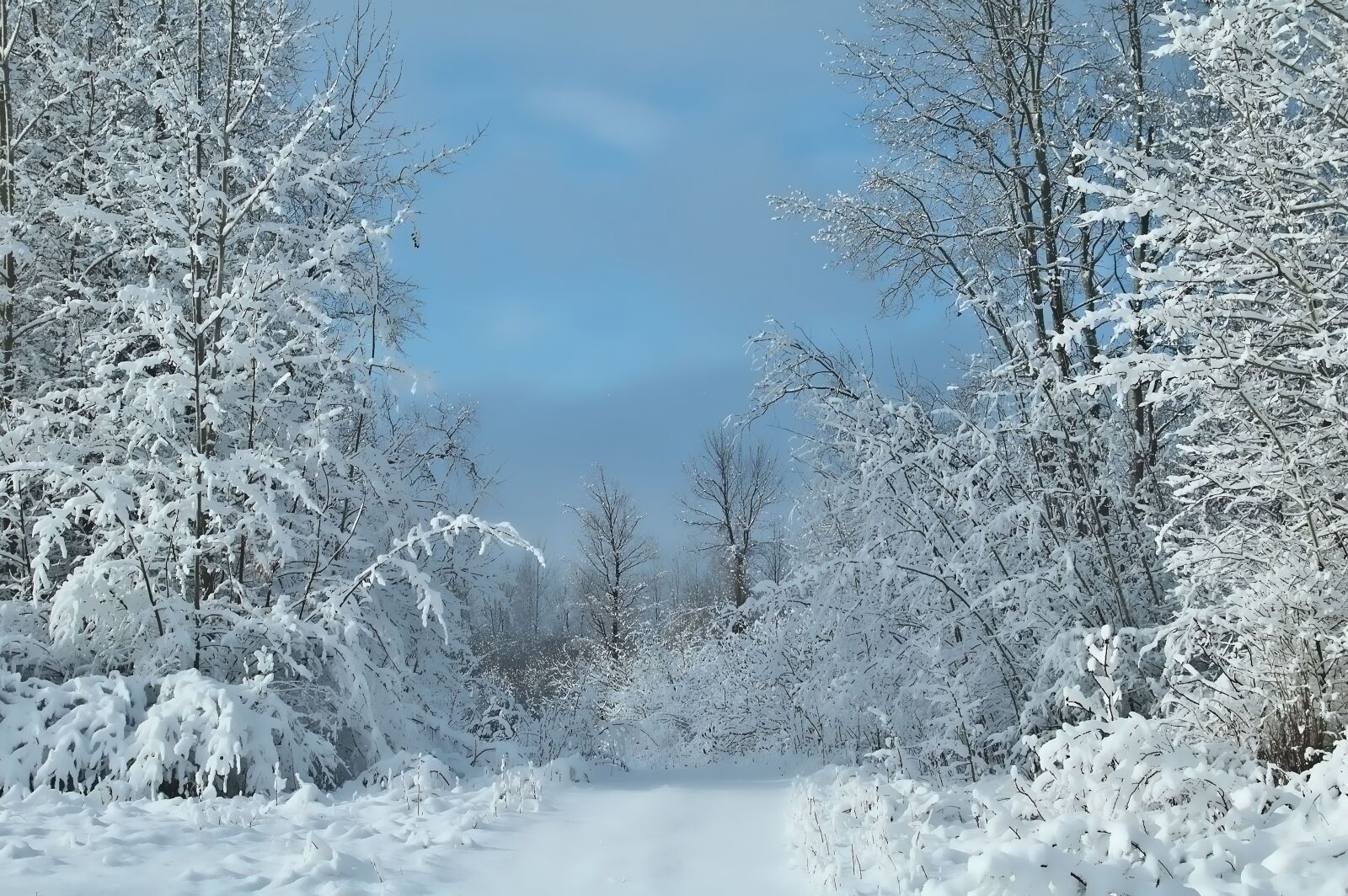 Nikon D70 sample photo. Blue sky, snow cover photography