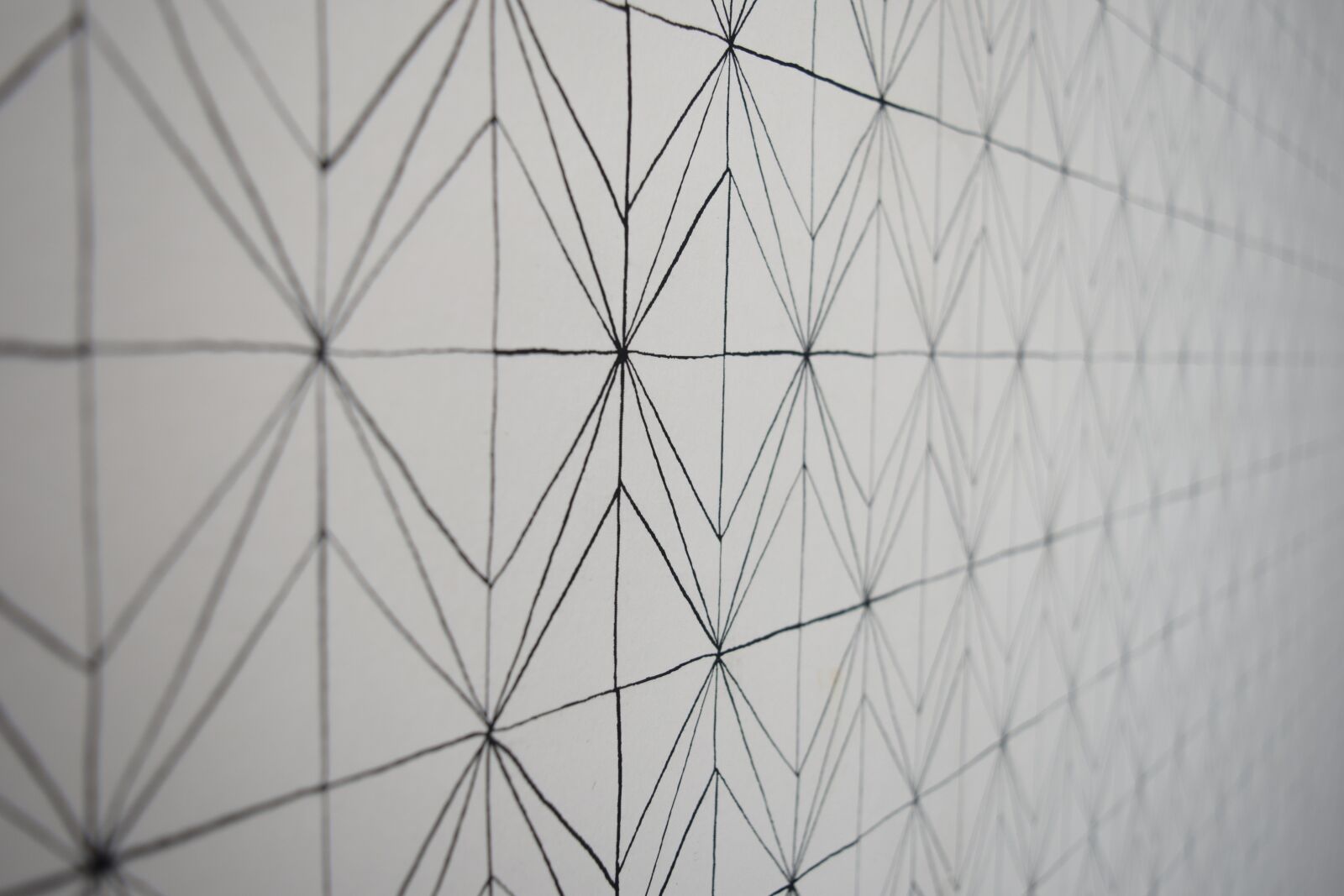 Nikon D3300 sample photo. Patterns, textures, decoration photography