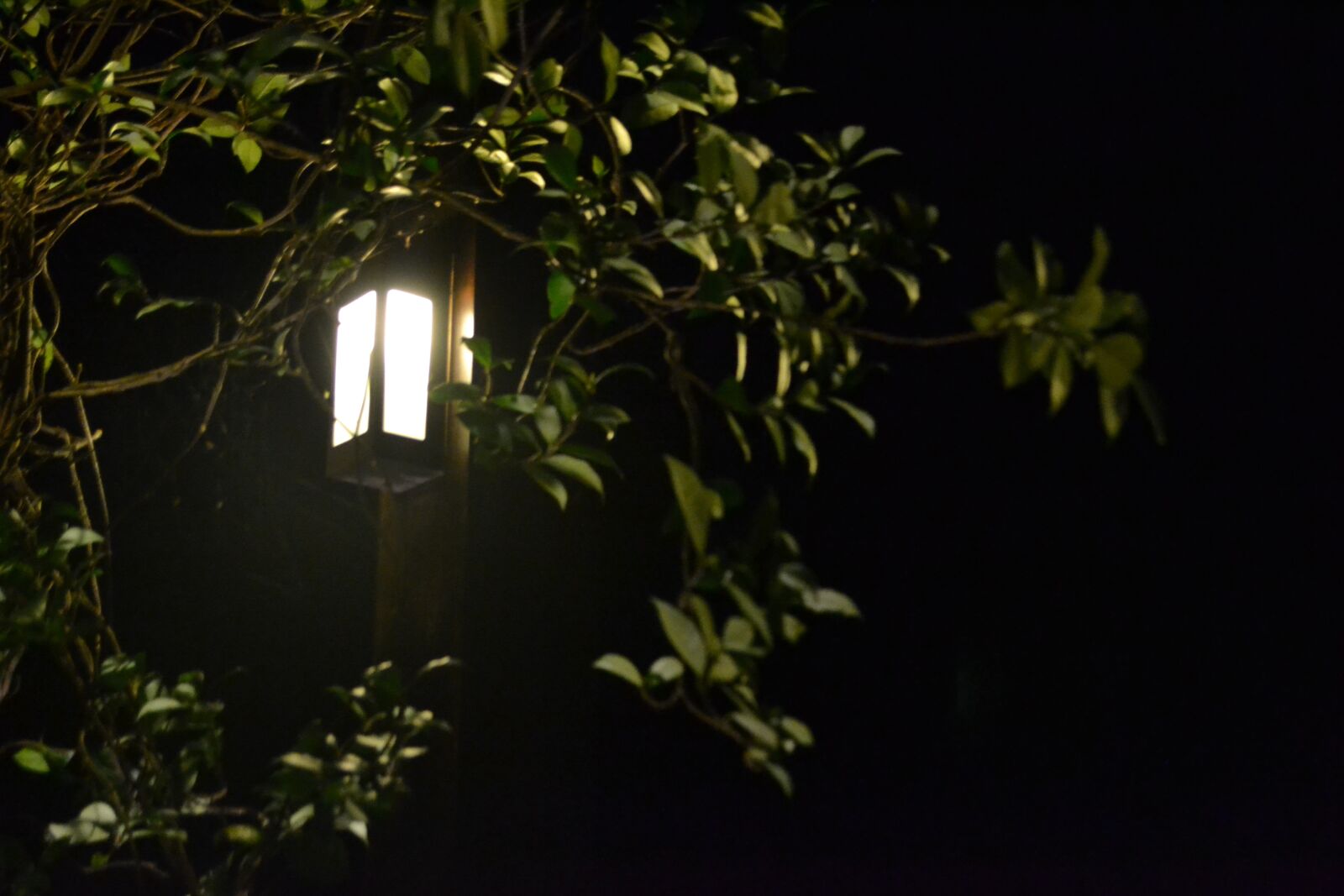 Nikon D3100 sample photo. Light, flying, night photography