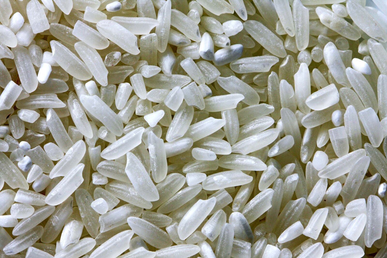Canon EOS 40D sample photo. Rice, closeup, food photography