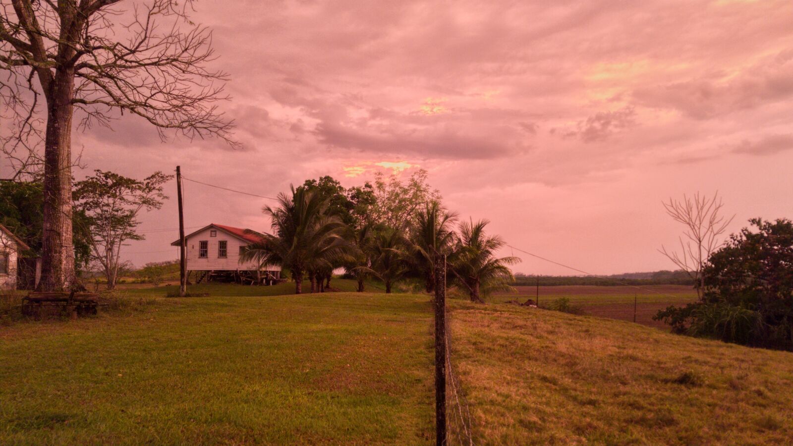 Samsung Galaxy S7 Edge sample photo. Dusk, orange, hue photography