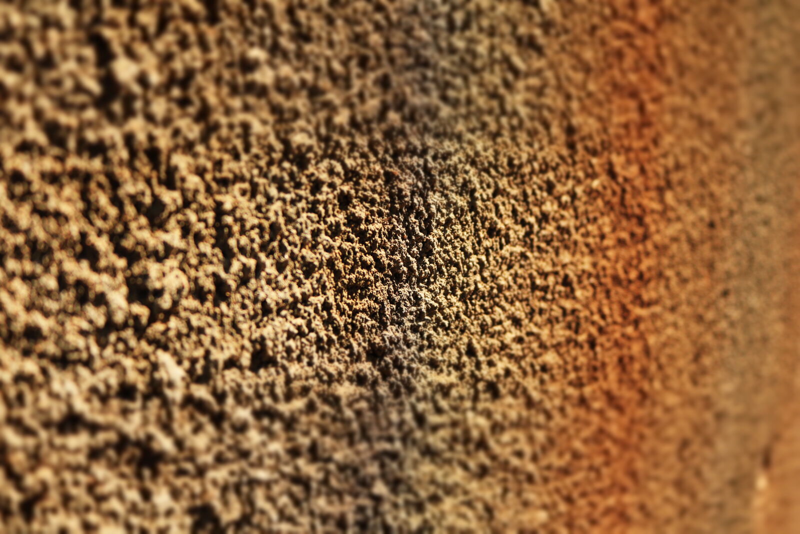 Canon EOS 750D (EOS Rebel T6i / EOS Kiss X8i) sample photo. Pattern, wall photography