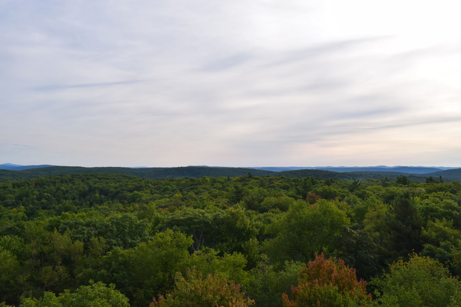 Nikon D3300 sample photo. Autumn, fall, forest, landscape photography
