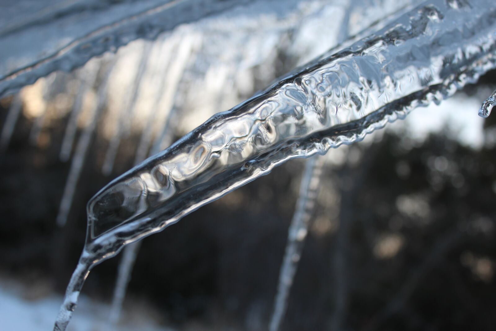 Canon EOS 1200D (EOS Rebel T5 / EOS Kiss X70 / EOS Hi) sample photo. Icicles, winter, cold photography