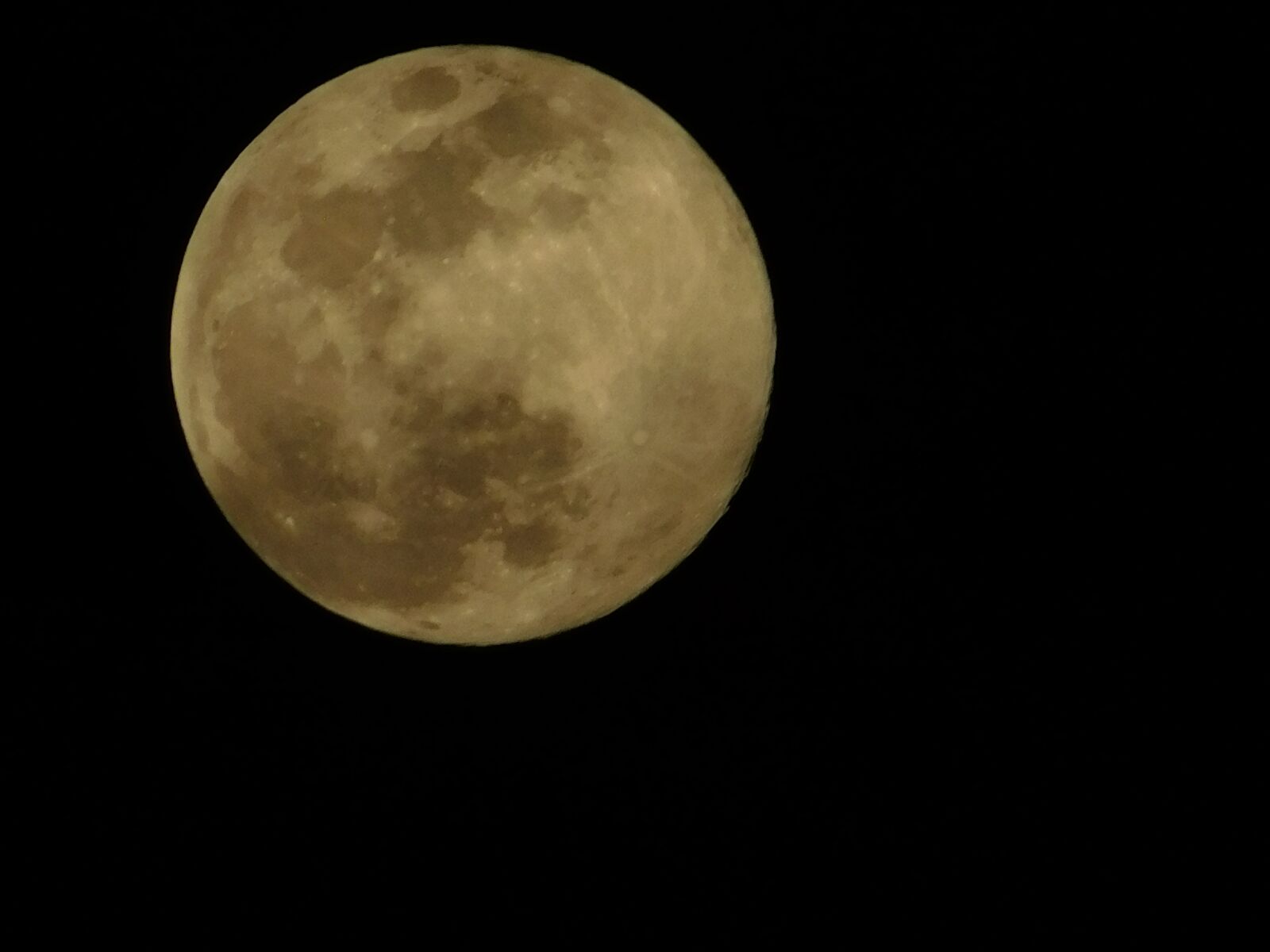 Nikon Coolpix L840 sample photo. Moon, drink night, sky photography