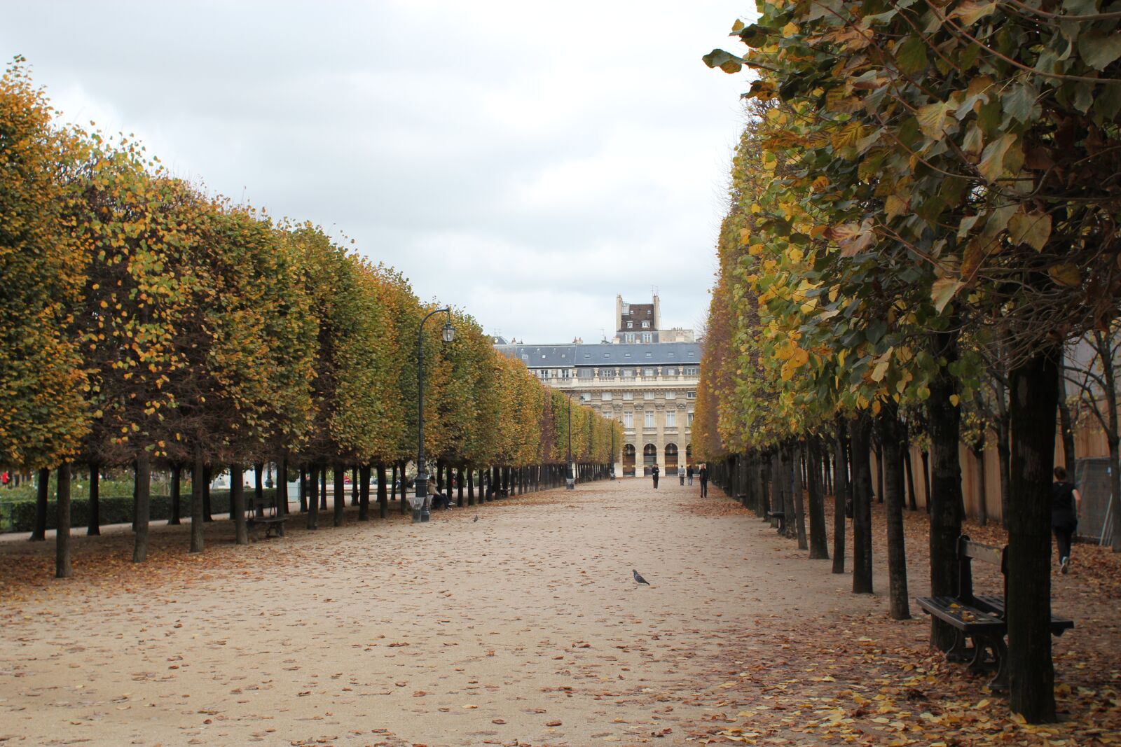 Canon EOS 550D (EOS Rebel T2i / EOS Kiss X4) sample photo. Paris, france, park photography