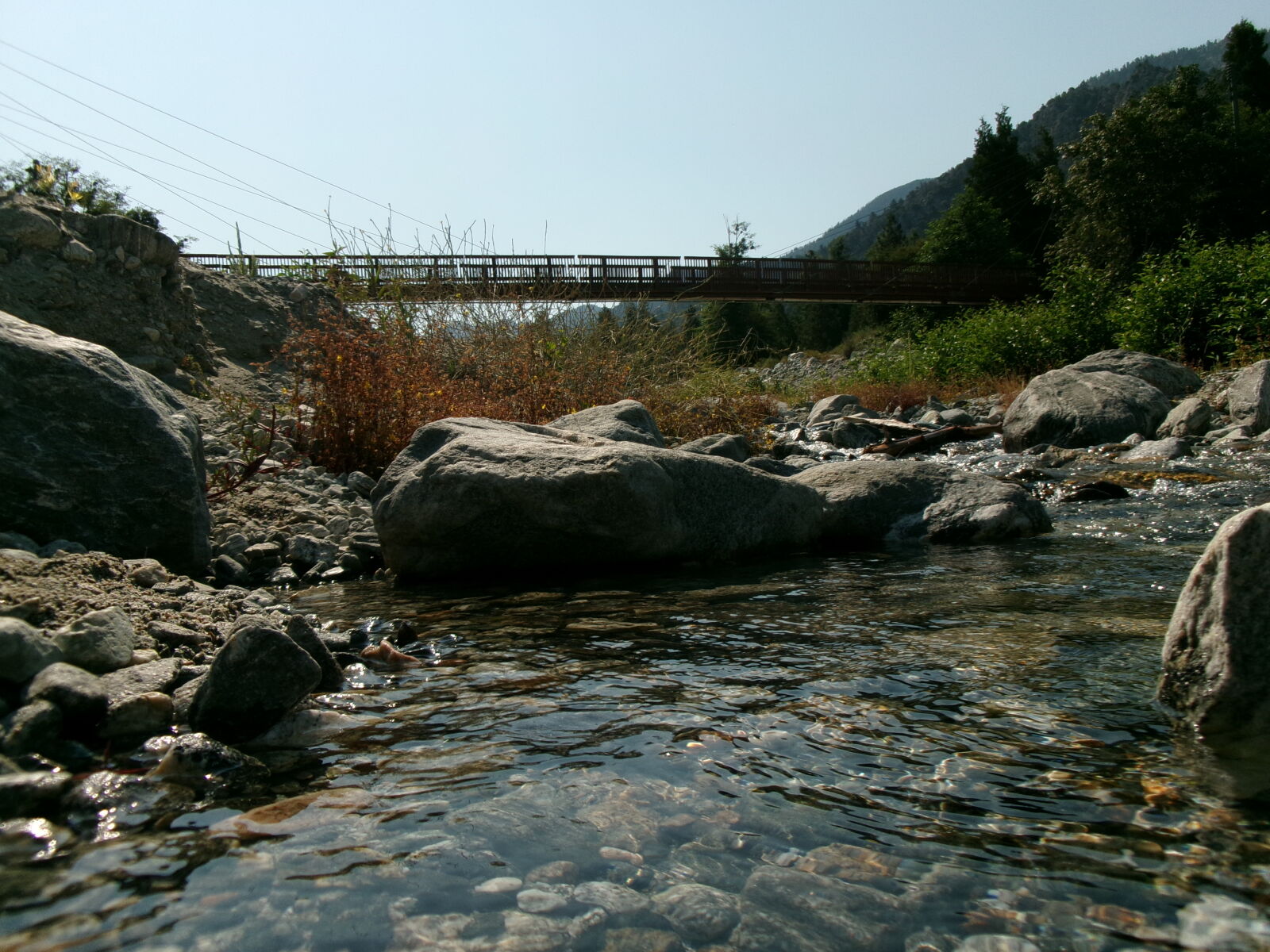 JK KODAK PIXPRO FZ55 sample photo. Forest home creek ca photography