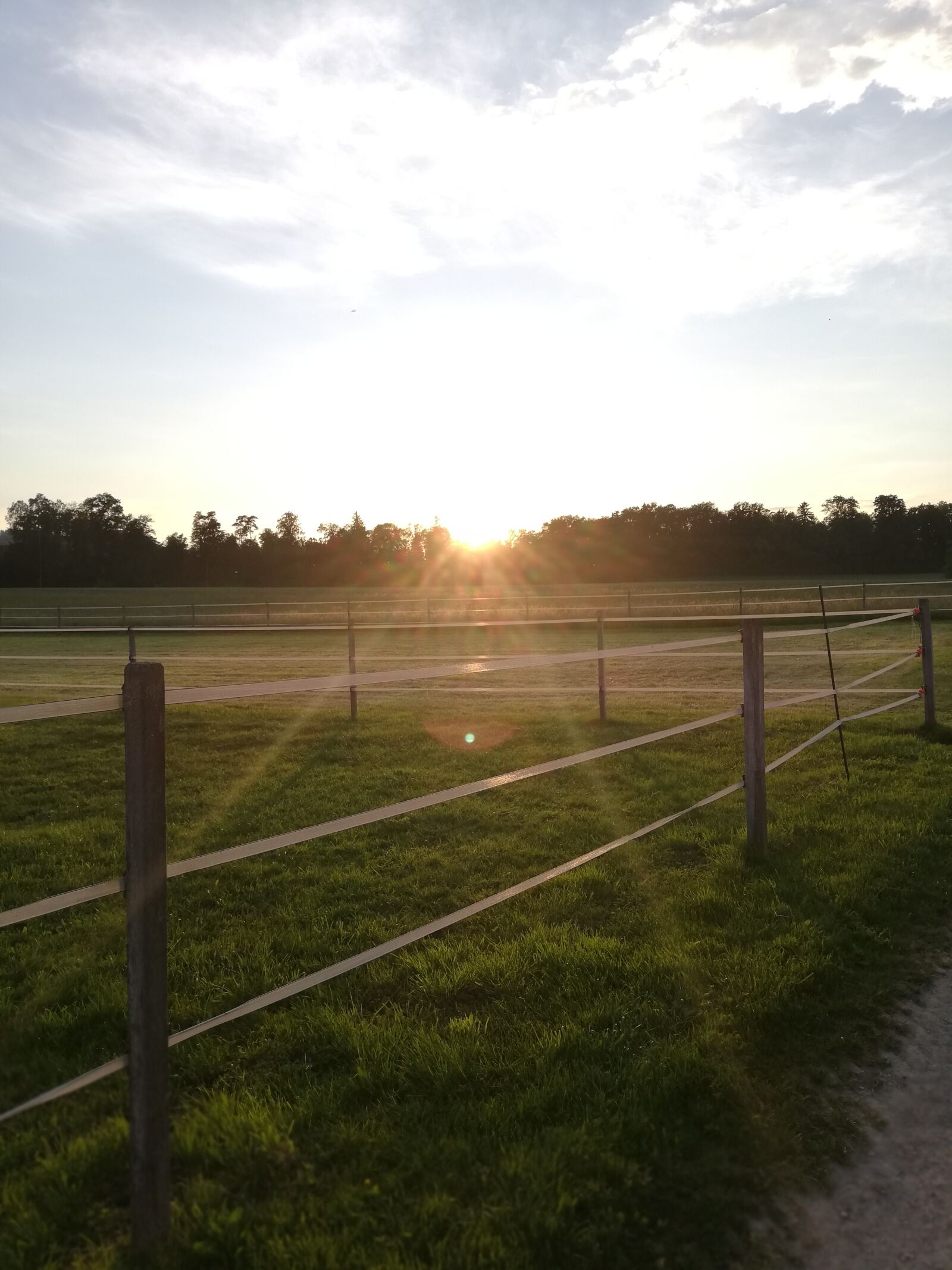 HUAWEI P20 lite sample photo. Sunset, meadow, sun photography