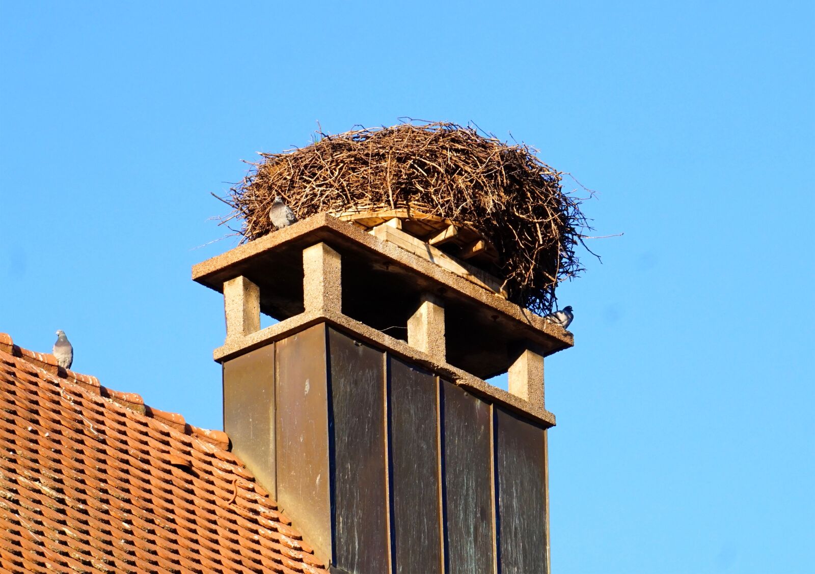 Sony Alpha a5000 (ILCE 5000) + Sony E 55-210mm F4.5-6.3 OSS sample photo. Nest, storks, storchennest photography