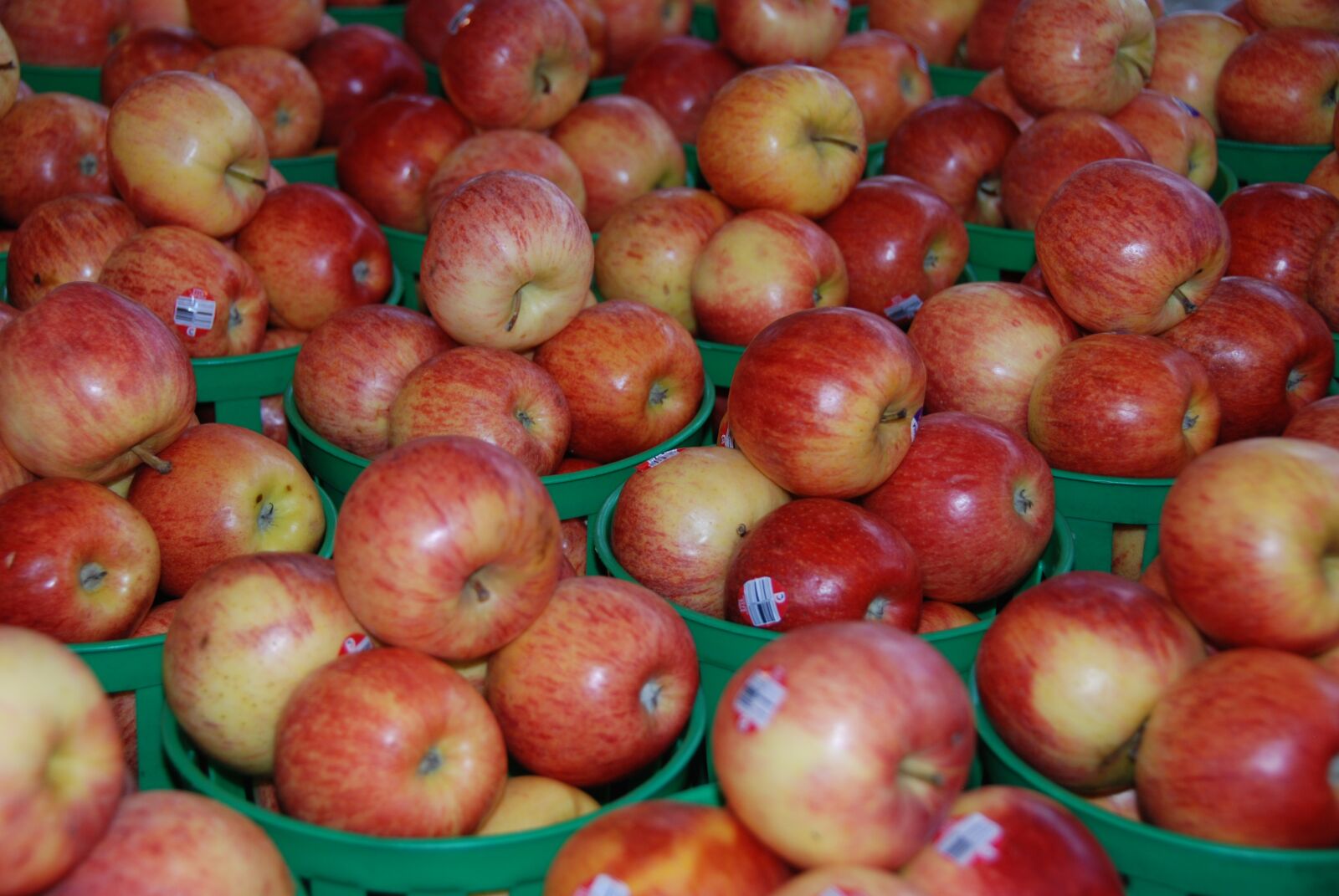Nikon D80 sample photo. Power, fruit, kitchen photography