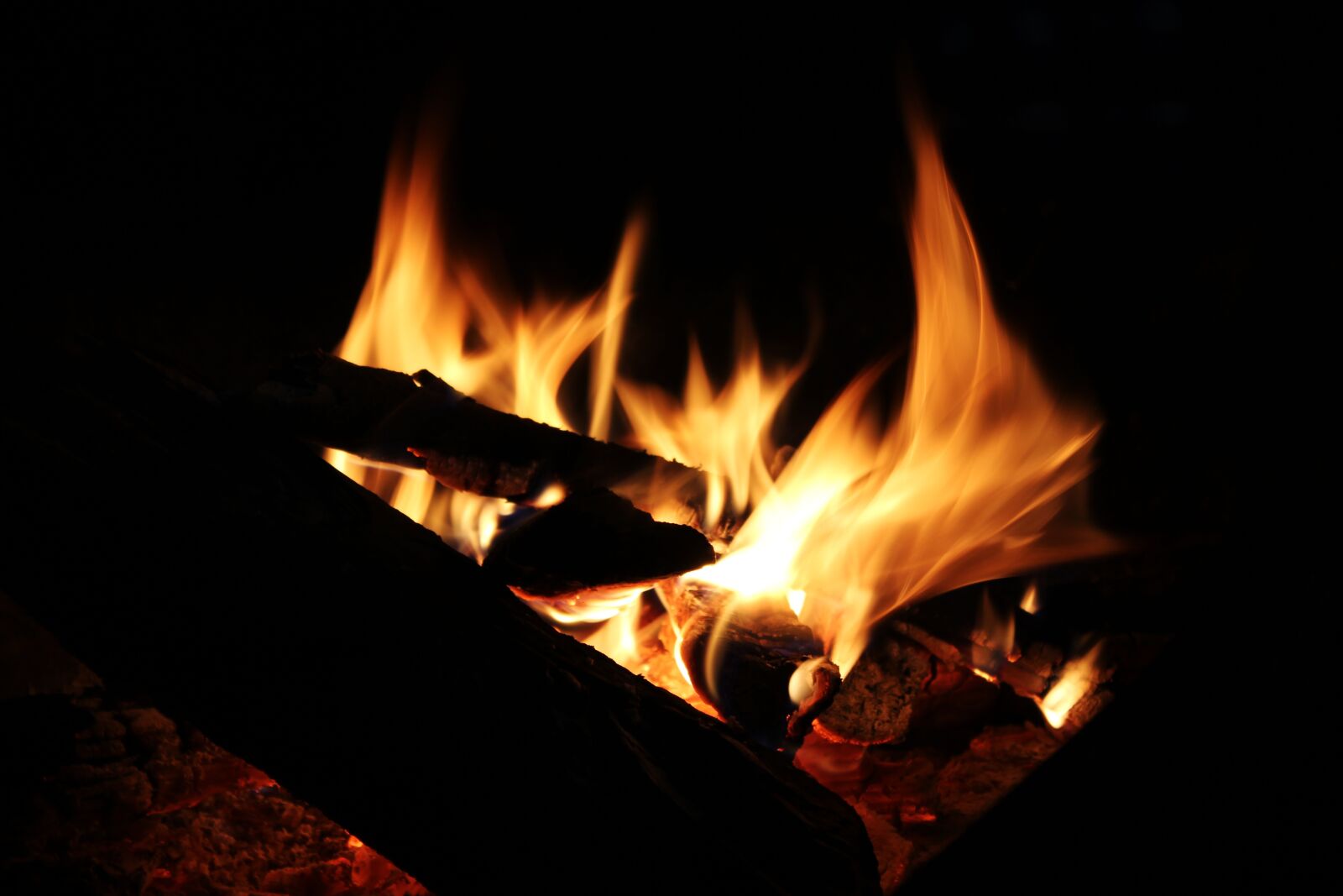 Canon EOS 550D (EOS Rebel T2i / EOS Kiss X4) sample photo. Bonfire, wood, night photography