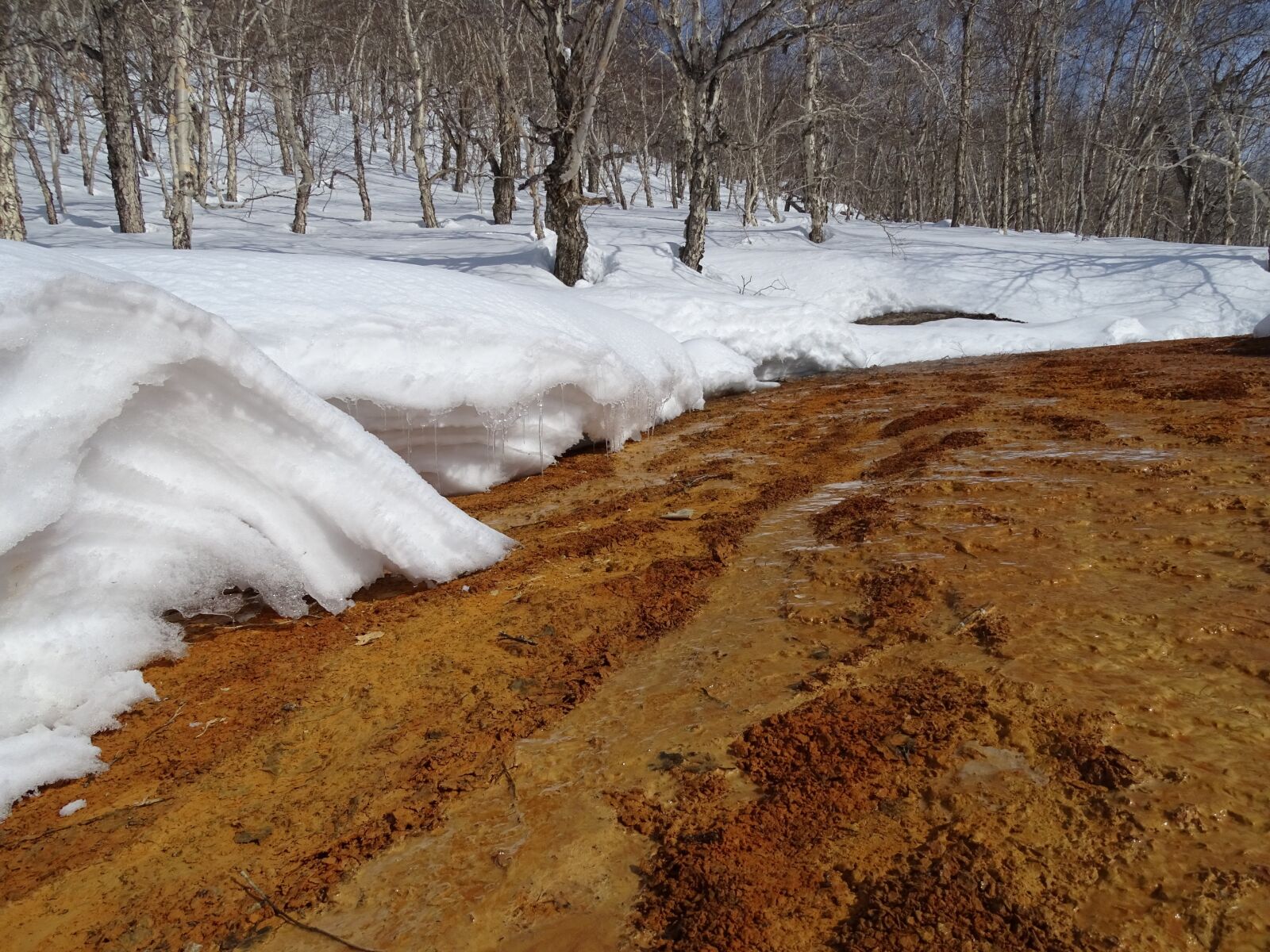 Sony DSC-HX400 sample photo. Spring, hot springs, the photography