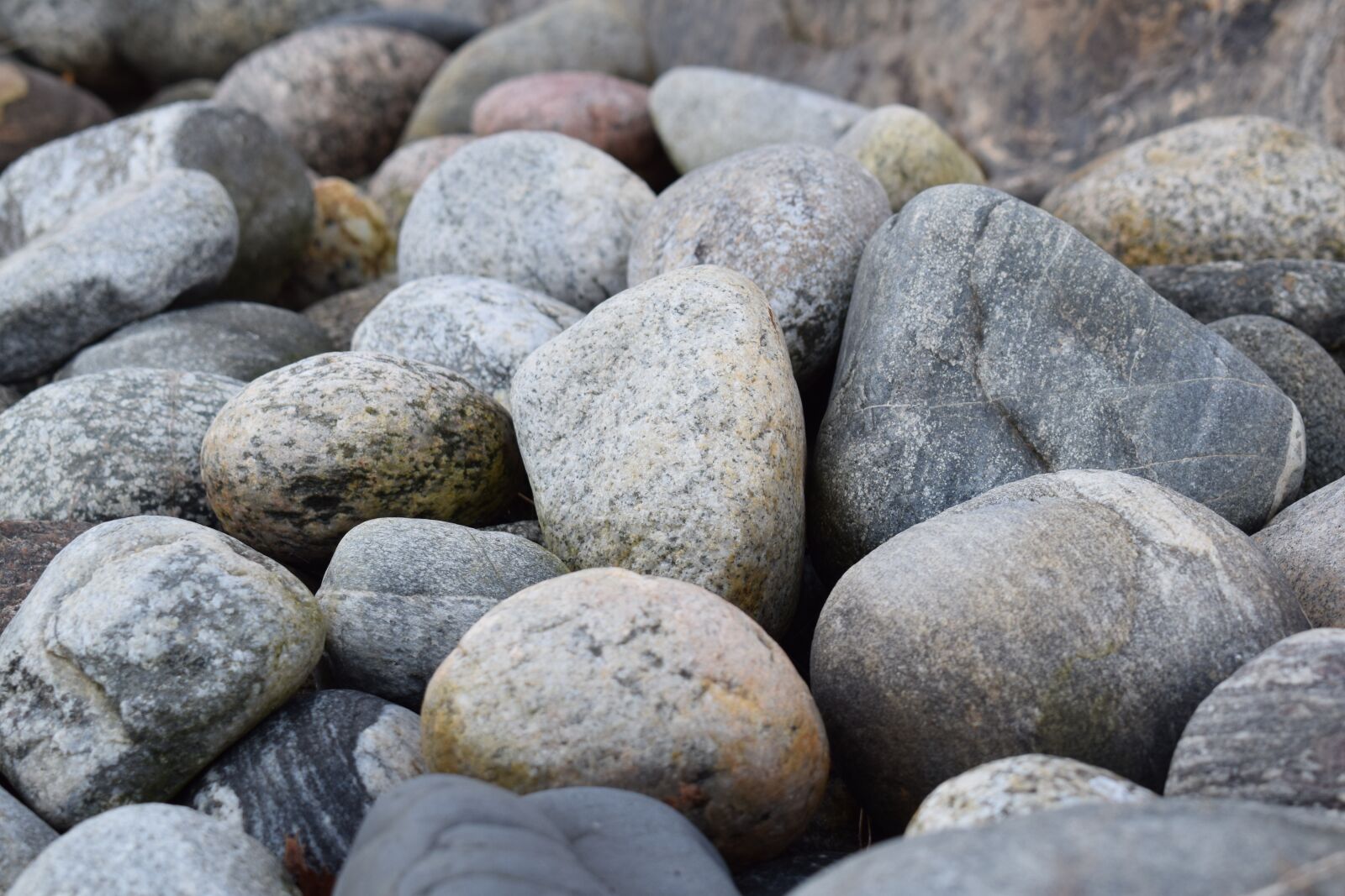 Nikon D3300 sample photo. Background, sjösten, sea photography