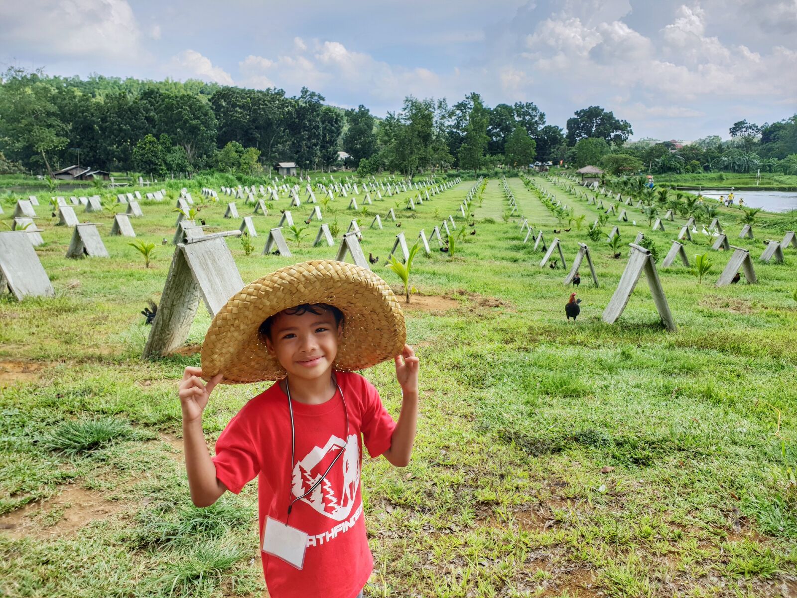 Samsung Galaxy S9+ sample photo. Farm, rooster, camping photography
