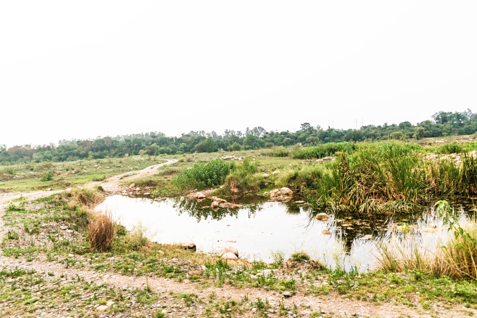 Nikon D3300 sample photo. Water, reflection, nature photography