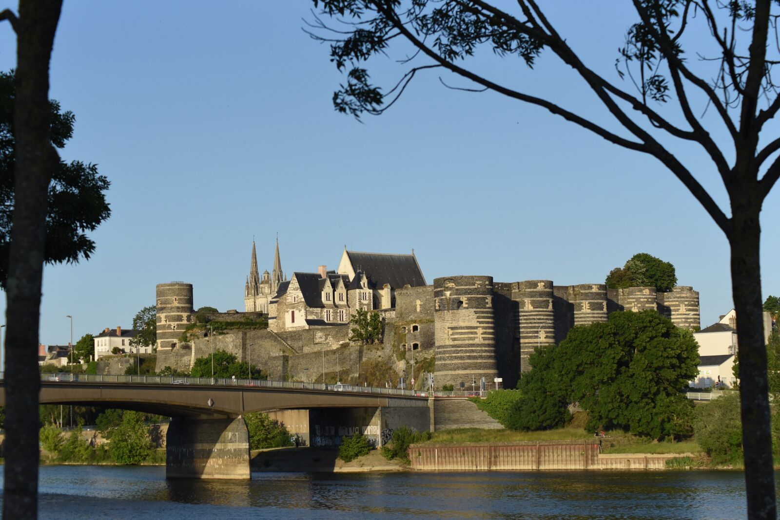 Nikon D750 sample photo. Castle, angers, building photography