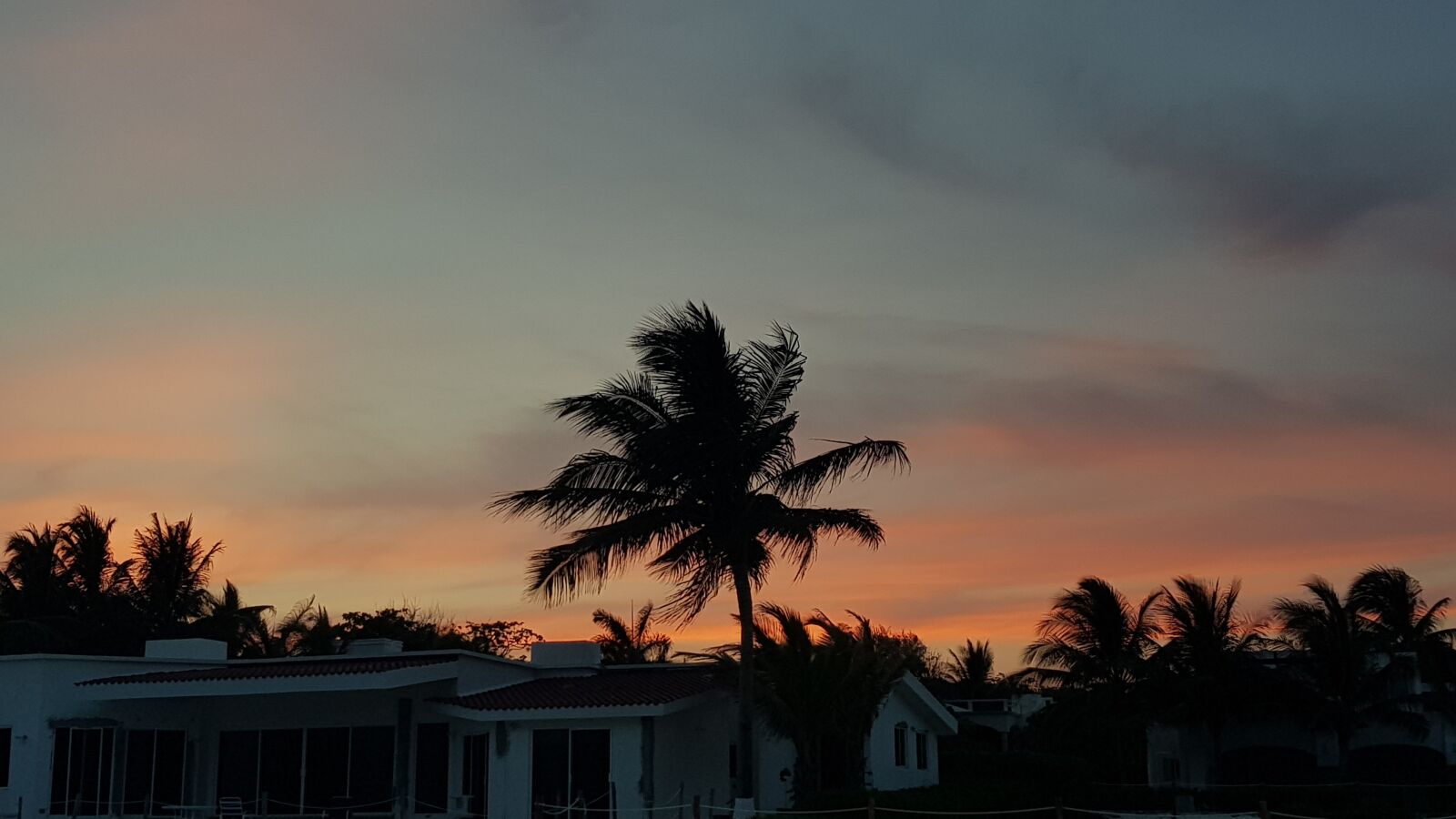 Samsung Galaxy S8 sample photo. Sunset, palmtree photography