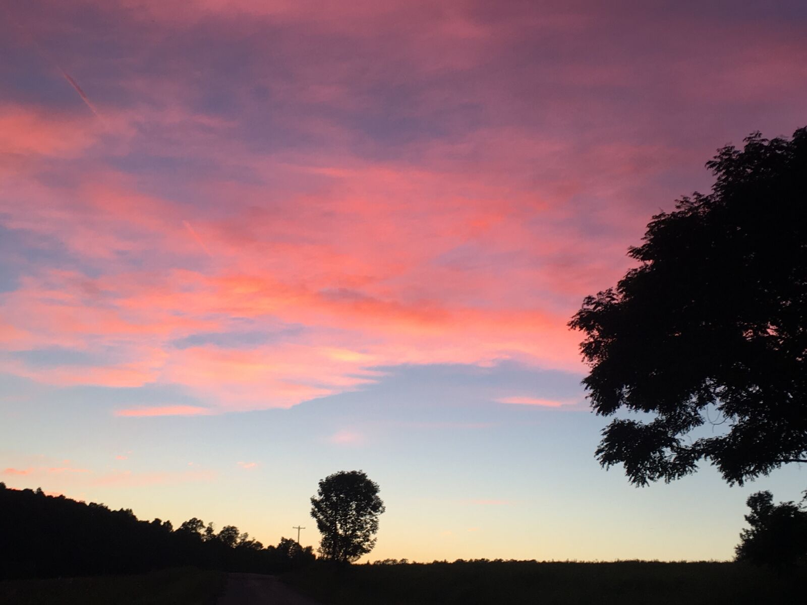 Apple iPhone SE sample photo. Sunset, pink, trees photography