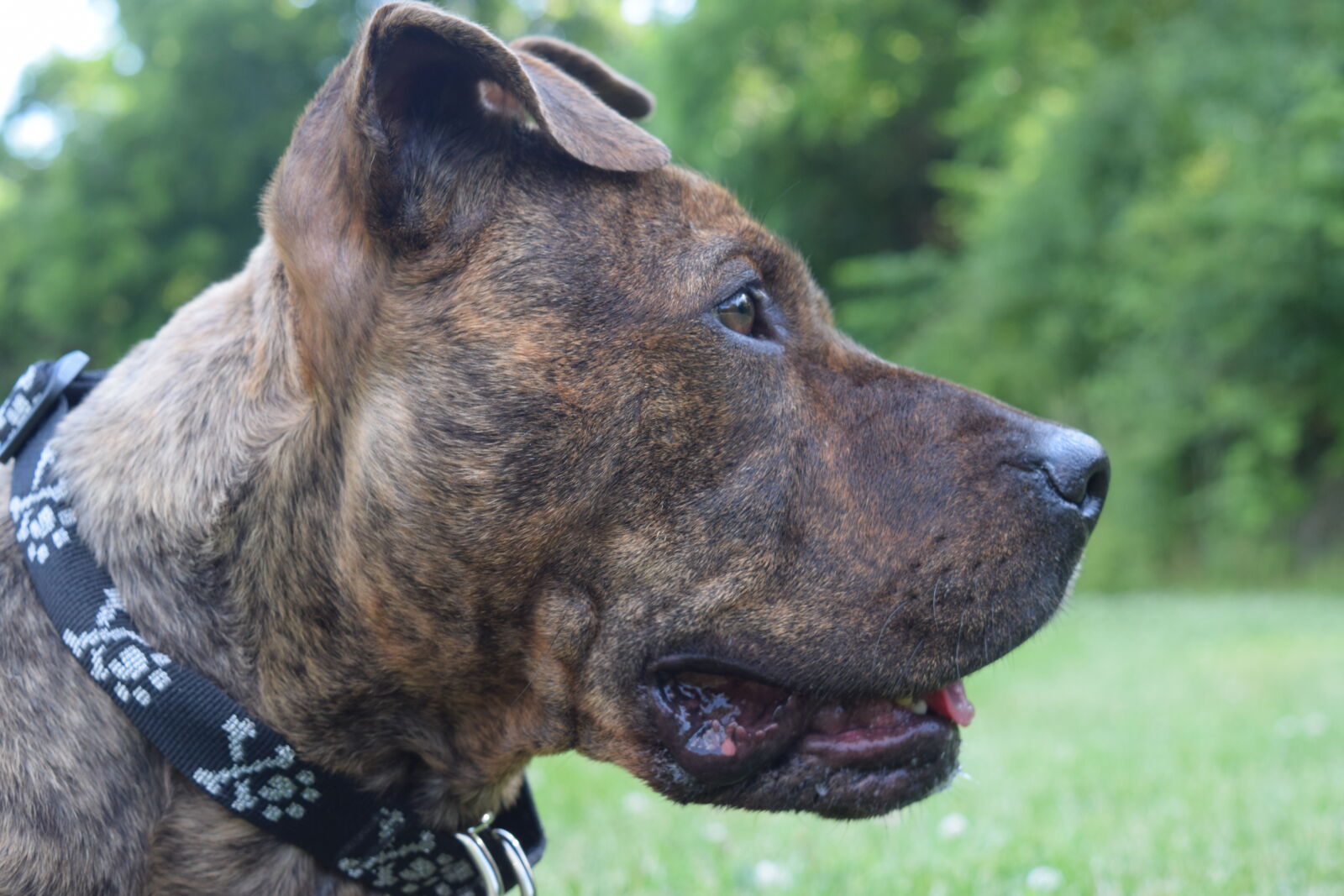 Nikon D3300 sample photo