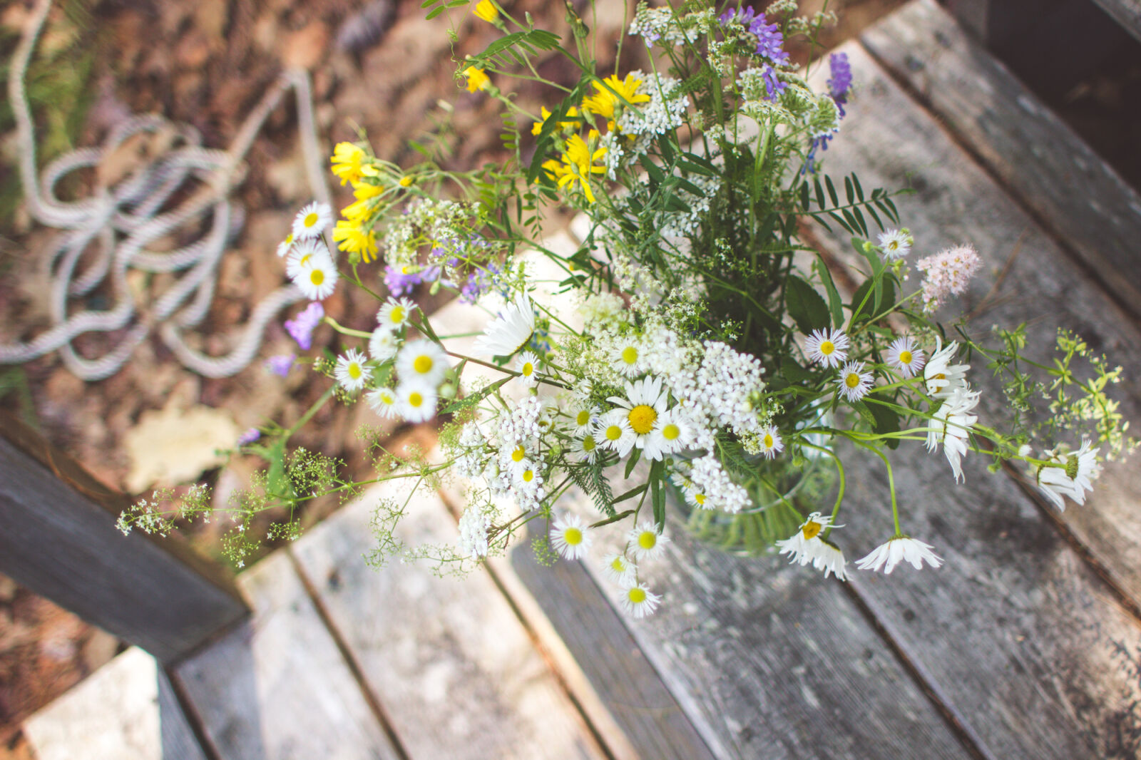 Canon EF 28mm F1.8 USM sample photo. Flowers, green, summer photography
