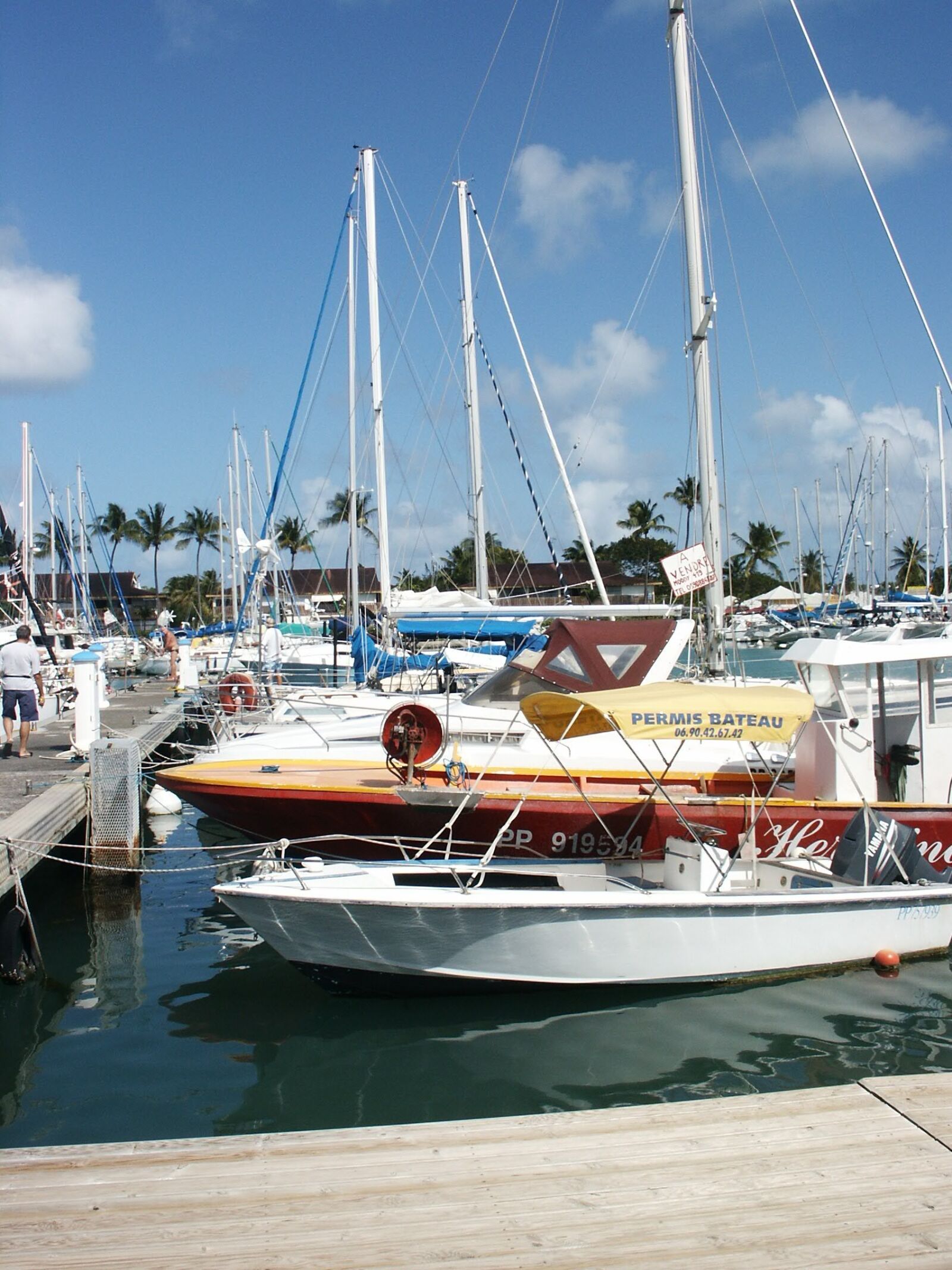 KONICA MINOLTA DiMAGE S414 sample photo. Guadeloupe, great land, st photography