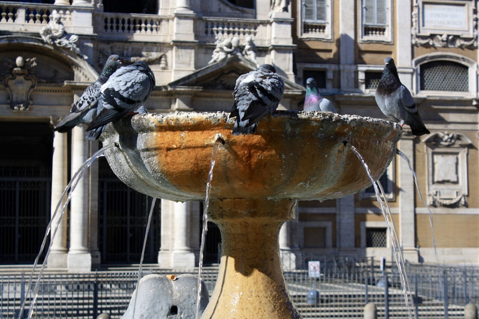 Canon EOS 1000D (EOS Digital Rebel XS / EOS Kiss F) sample photo. Italy, rome, fountain photography