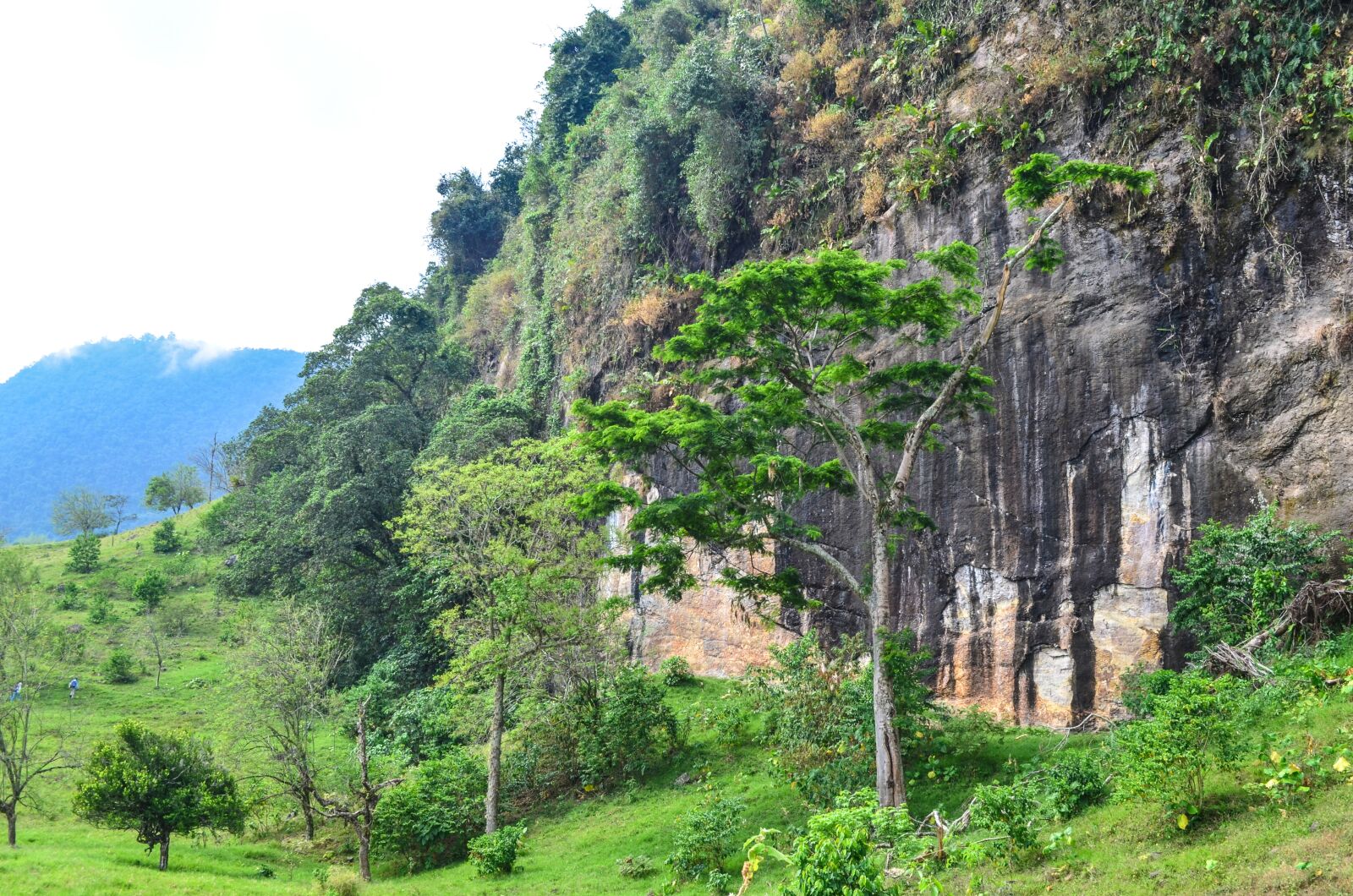 Nikon D5100 sample photo. Tree, rock, mountain photography