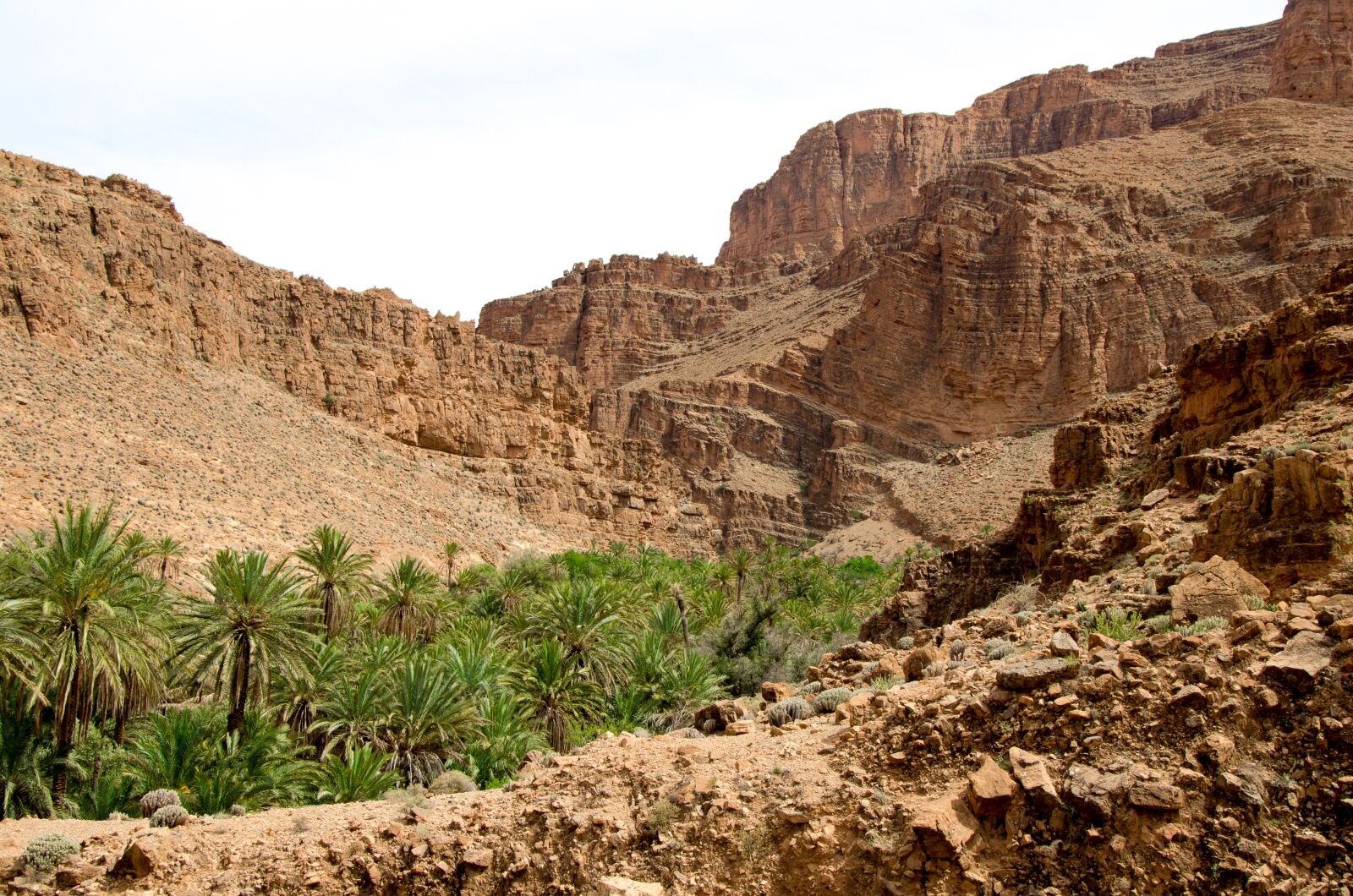 Nikon D5100 sample photo. Oasis, desert, morocco photography