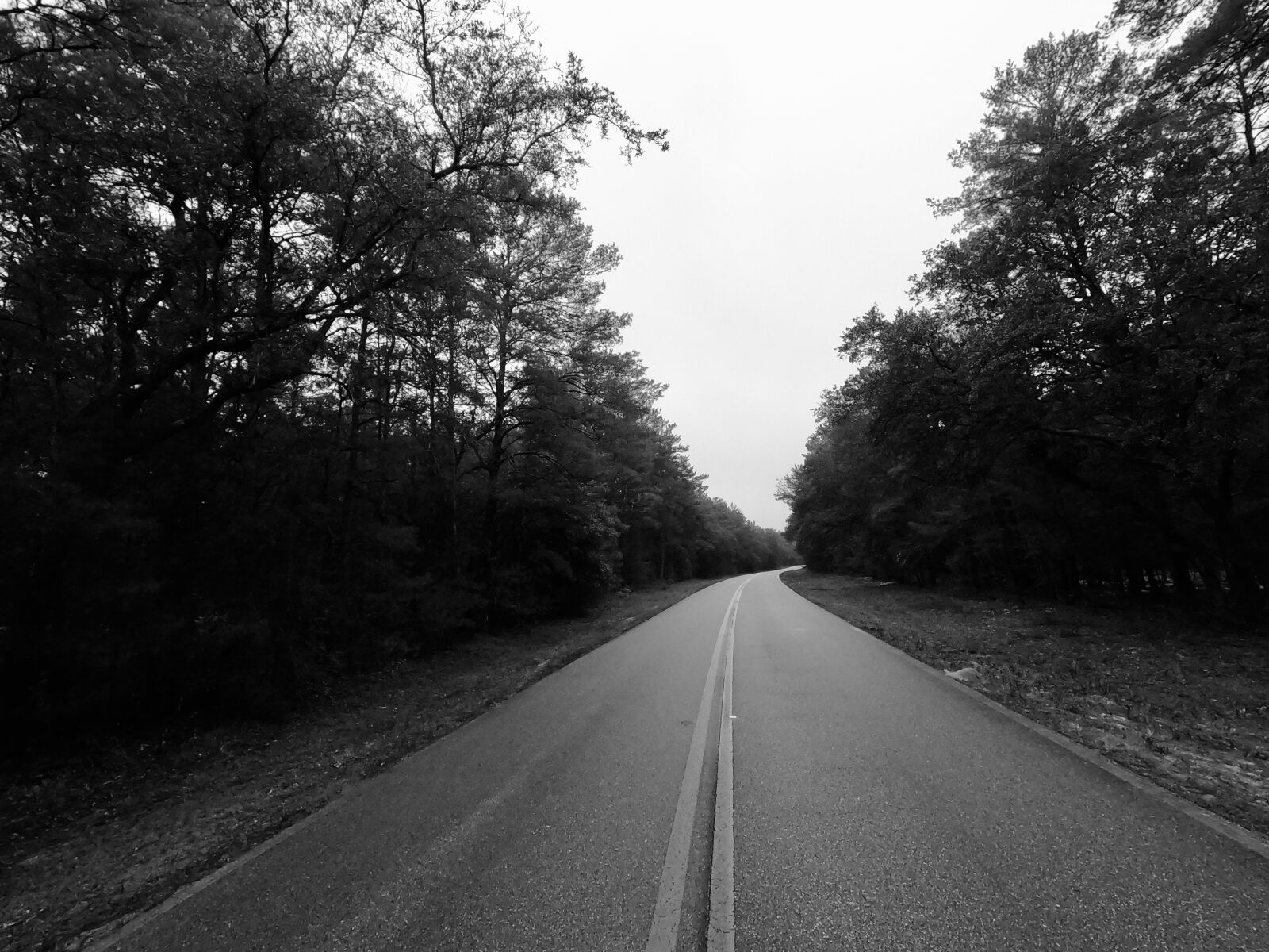 GoPro Hero8 Black sample photo. Road, roadtrip, travel photography