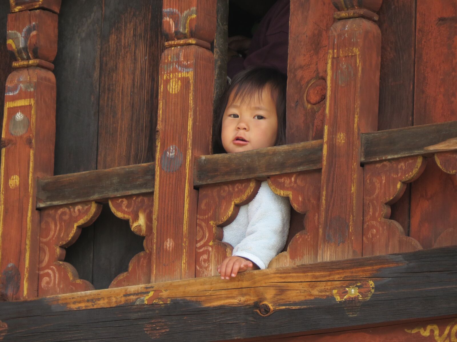 Canon PowerShot SX50 HS sample photo. Baby, child, cute photography