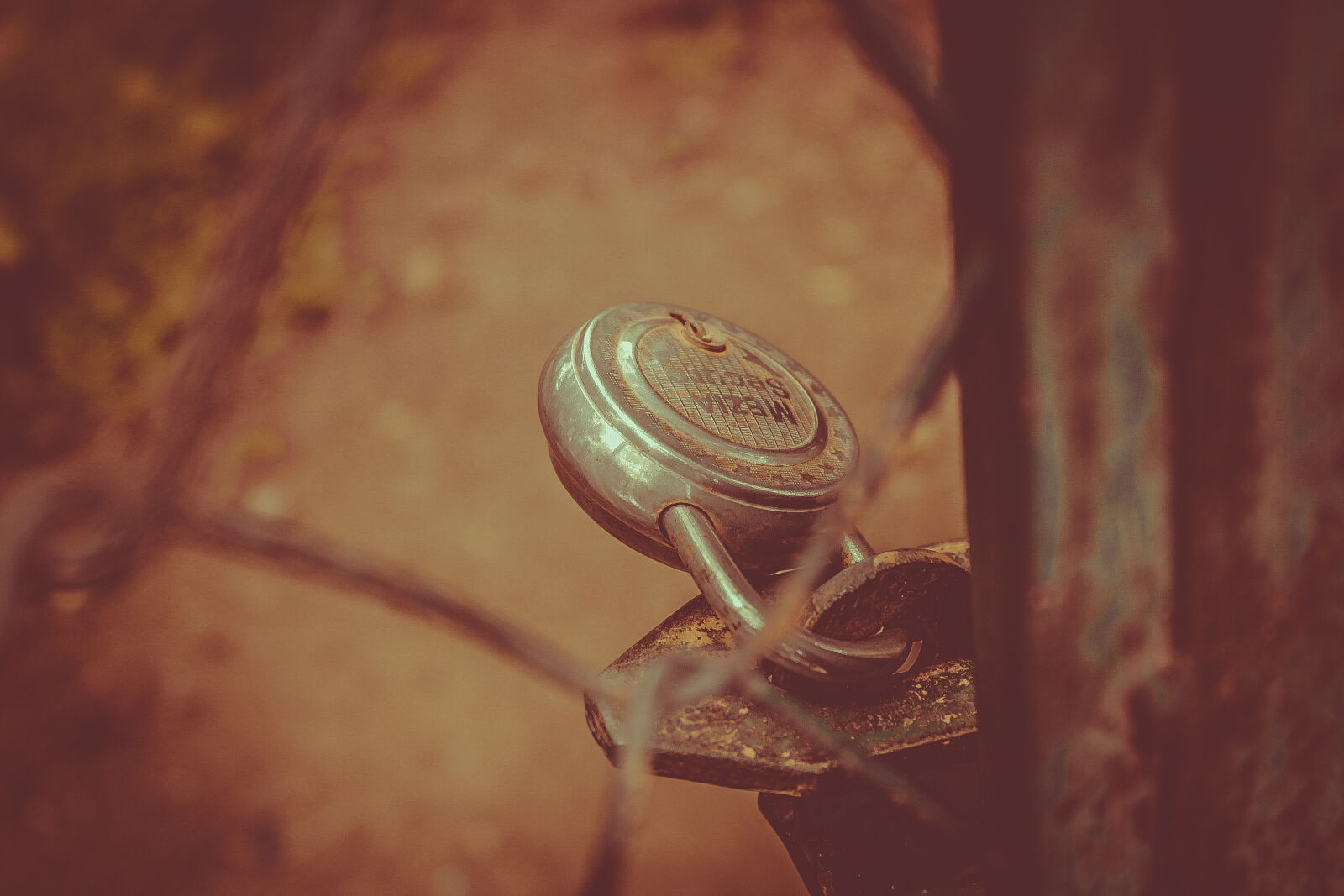 Canon EOS 1200D (EOS Rebel T5 / EOS Kiss X70 / EOS Hi) sample photo. Gate, key, lock, rust photography