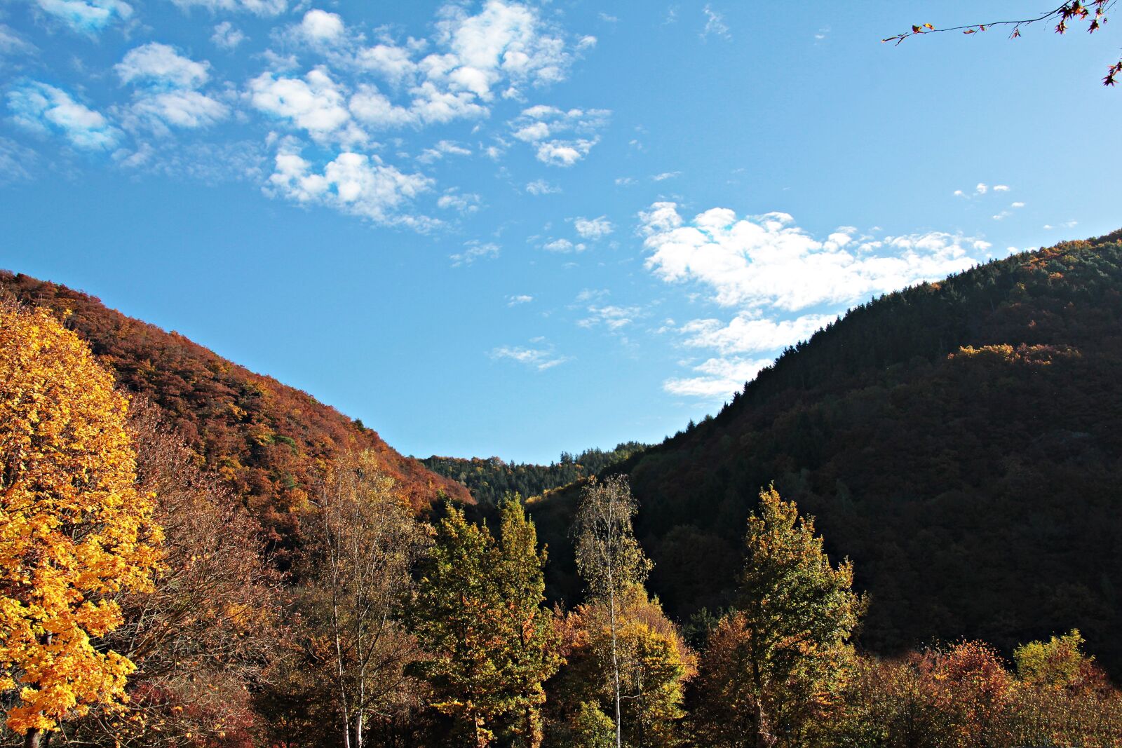Canon EOS 550D (EOS Rebel T2i / EOS Kiss X4) sample photo. Landscape, trees, autumn photography